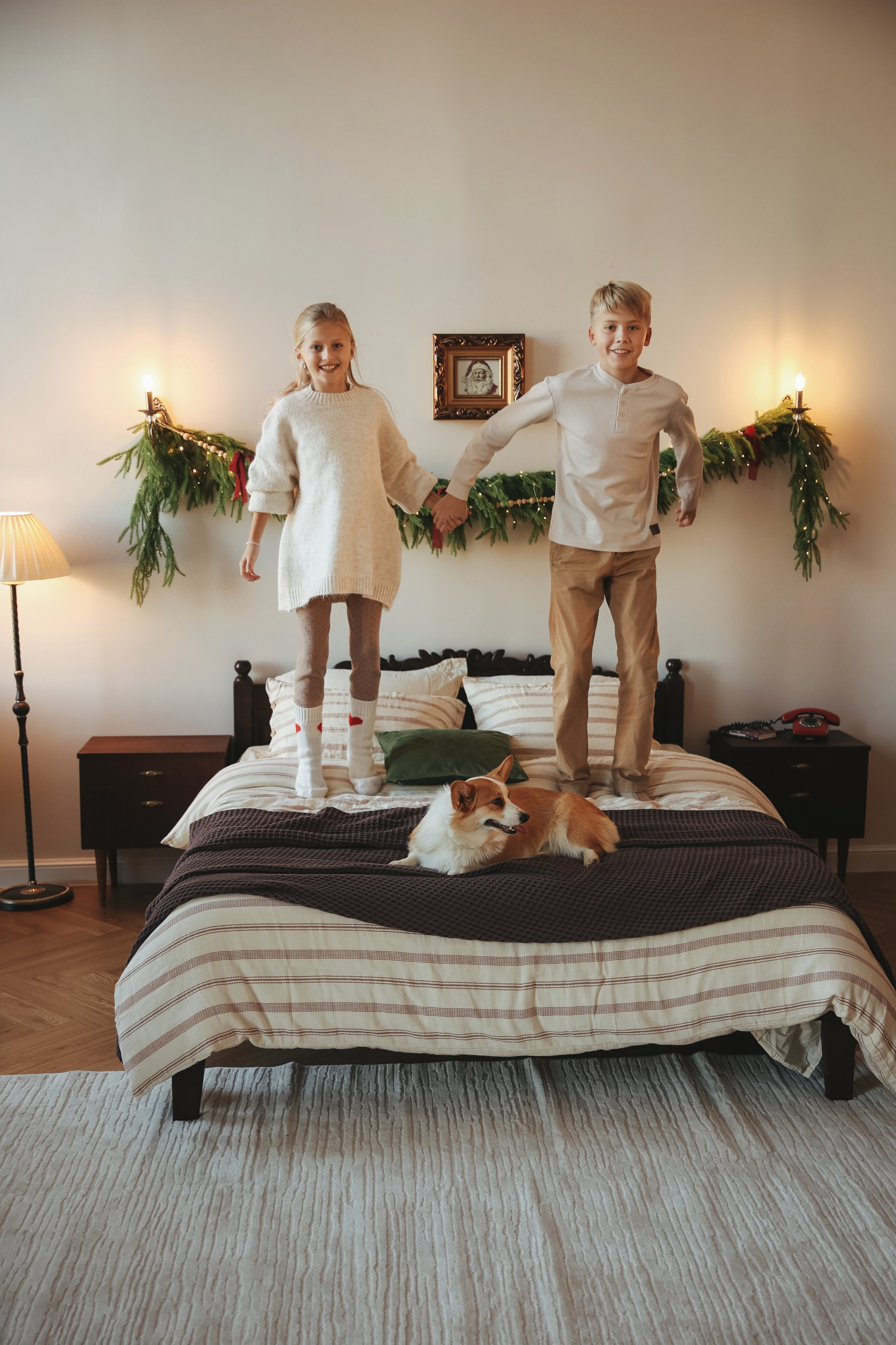 Новогодняя фотосессия во Владимире съемка на новый год фотосессия в студии фотограф во Владимире фотограф в Москве корги. Фотограф Владимир Москва