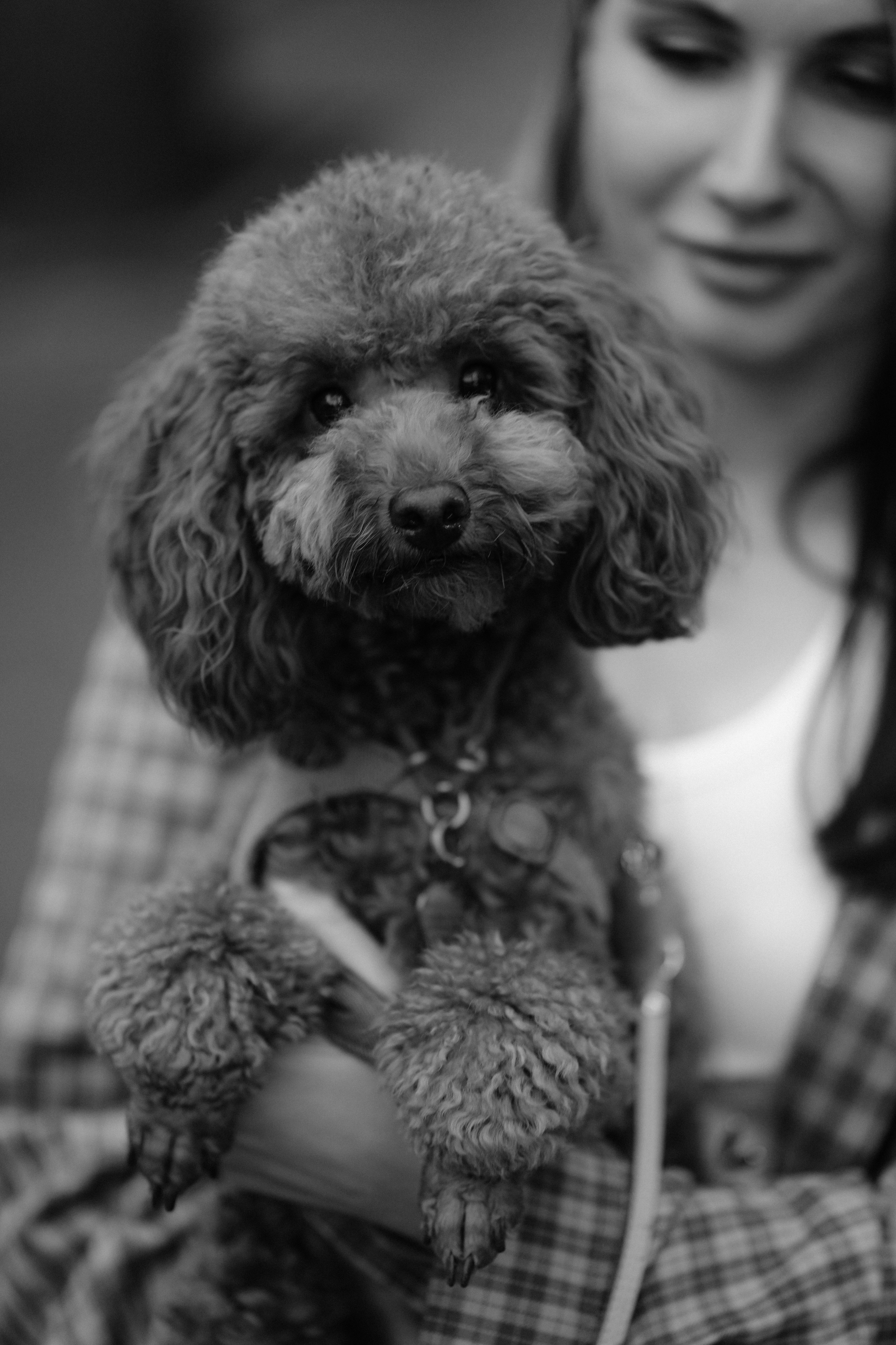 Эллина и Тедди. Фотограф с психологическим образованием