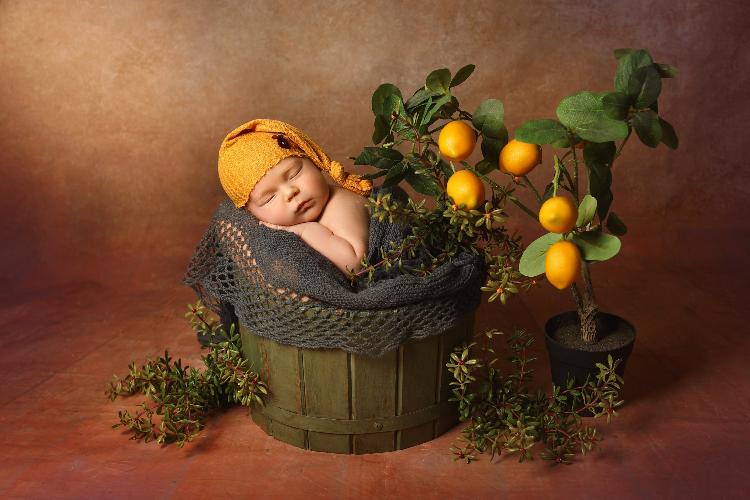 Новорожденные мальчики. Фотограф новорожденных в г. Великий Новгород — Екатерина Новикова