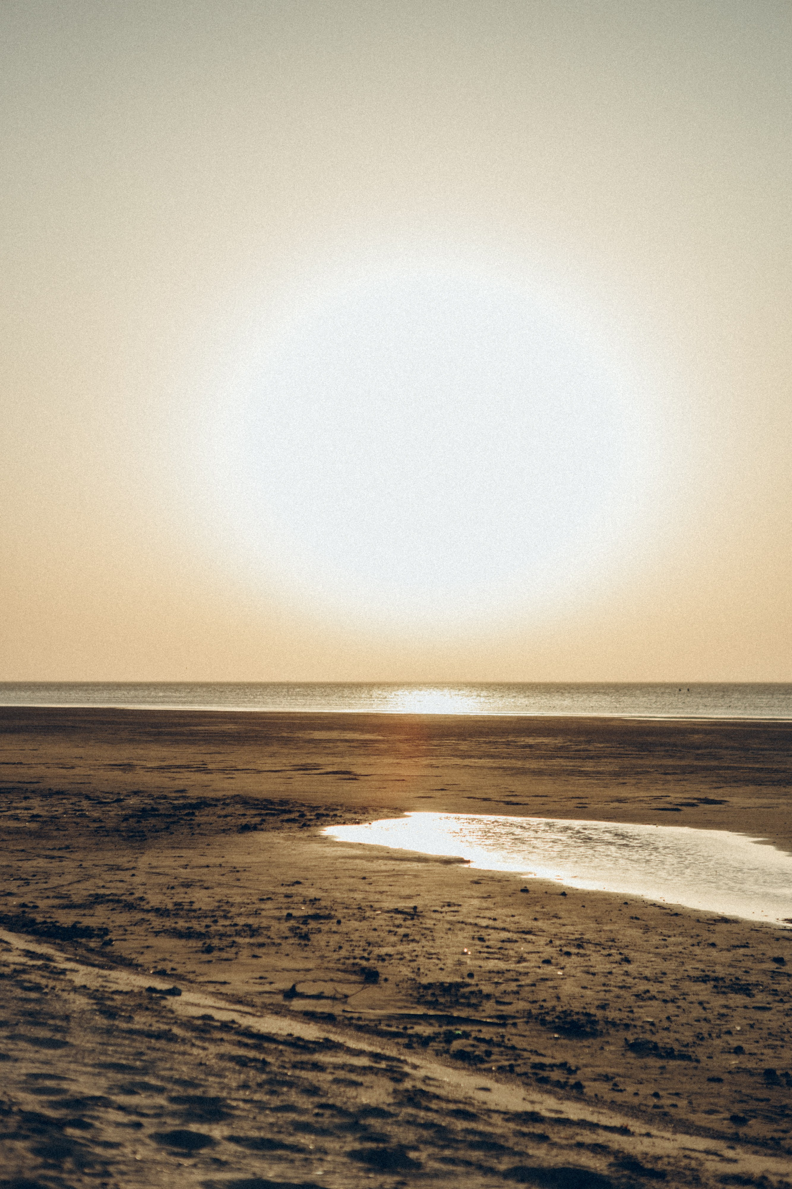 Family moment 💫. Семейный фотограф и фотограф на роды в Ростове-на-Дону Мухина Виктория