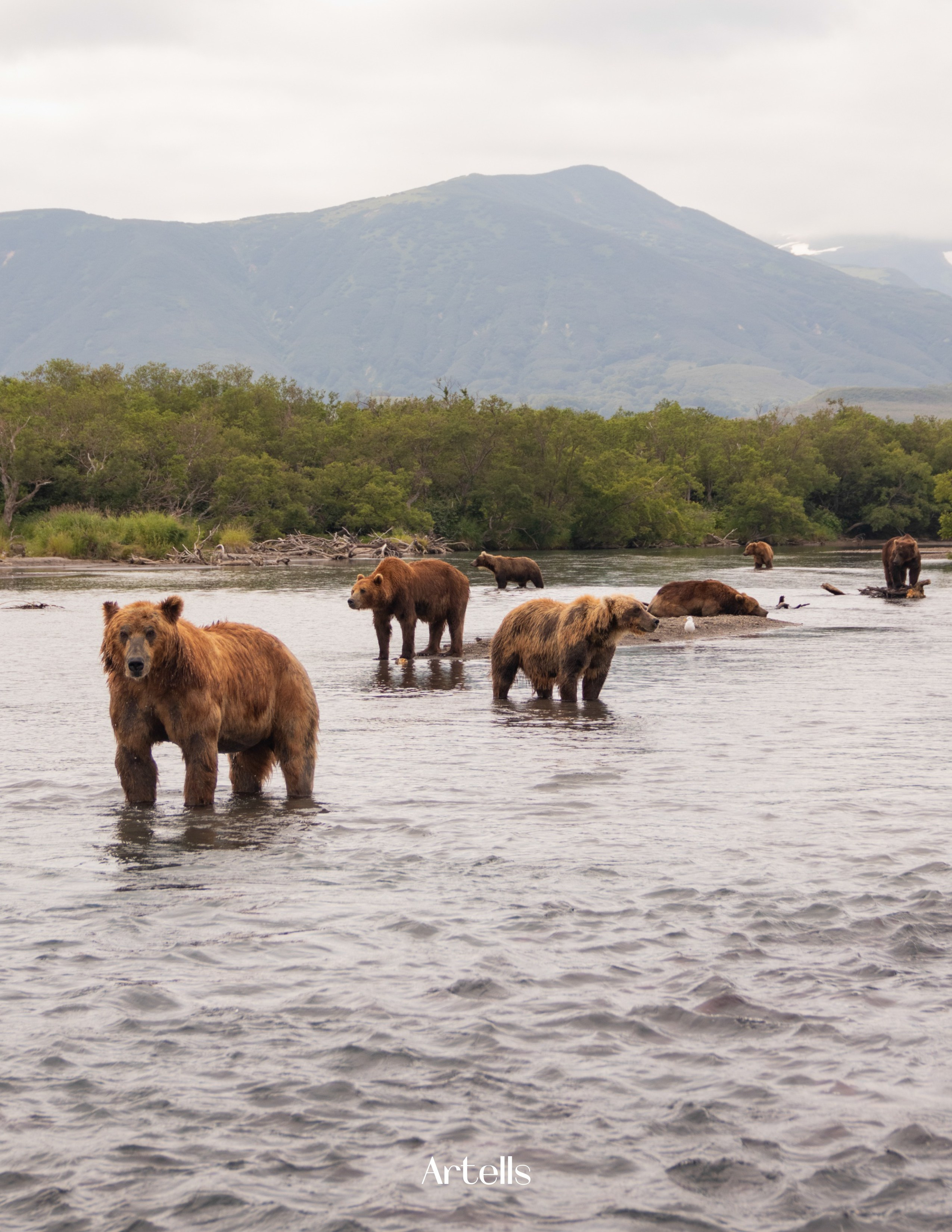 Журнал Artells. Kamchatka peninsula. Наталия Фролова. Фотограф. Москва
