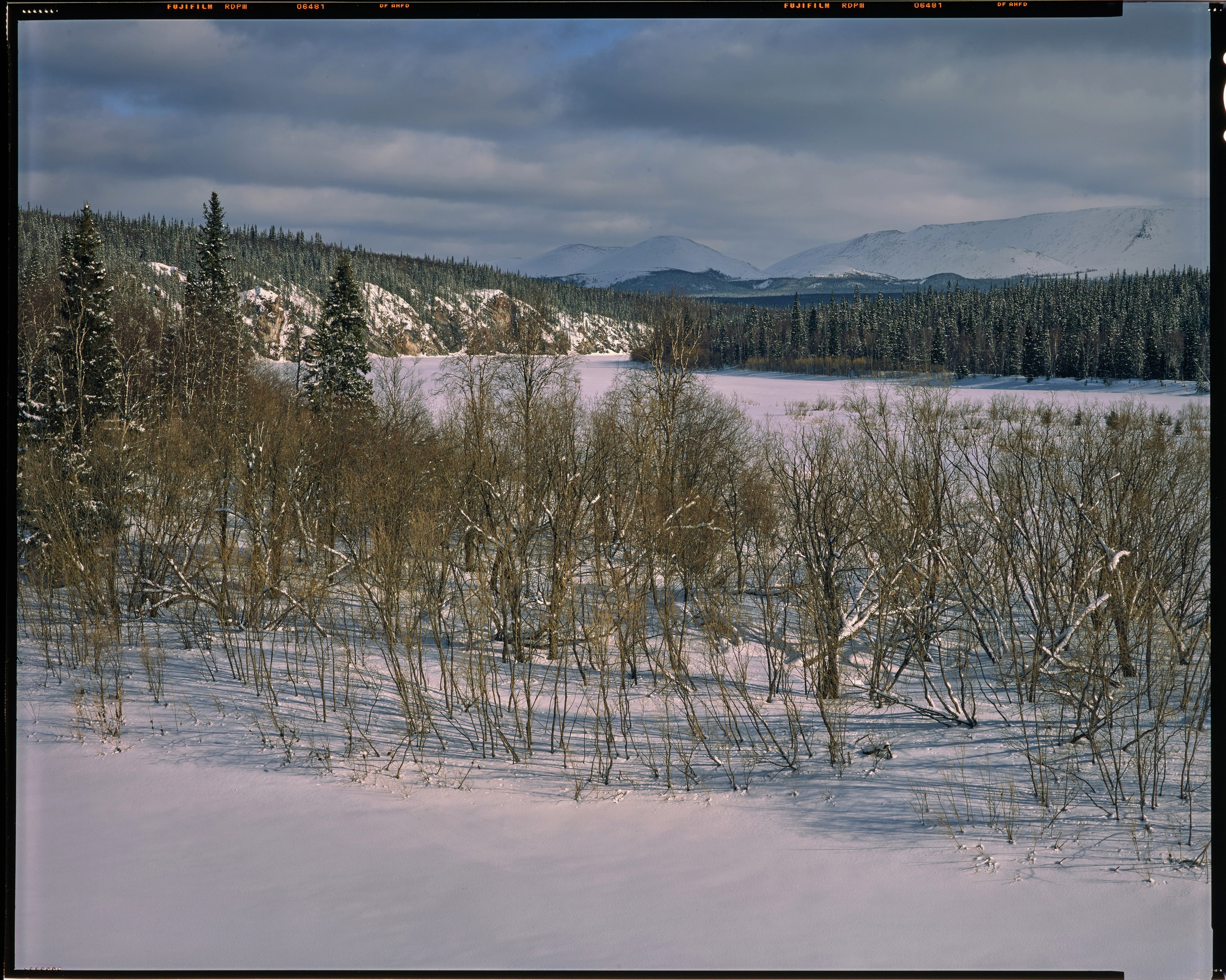 Полевая фотосъёмка форматными камерами. Multica. Мастерская камер большого формата