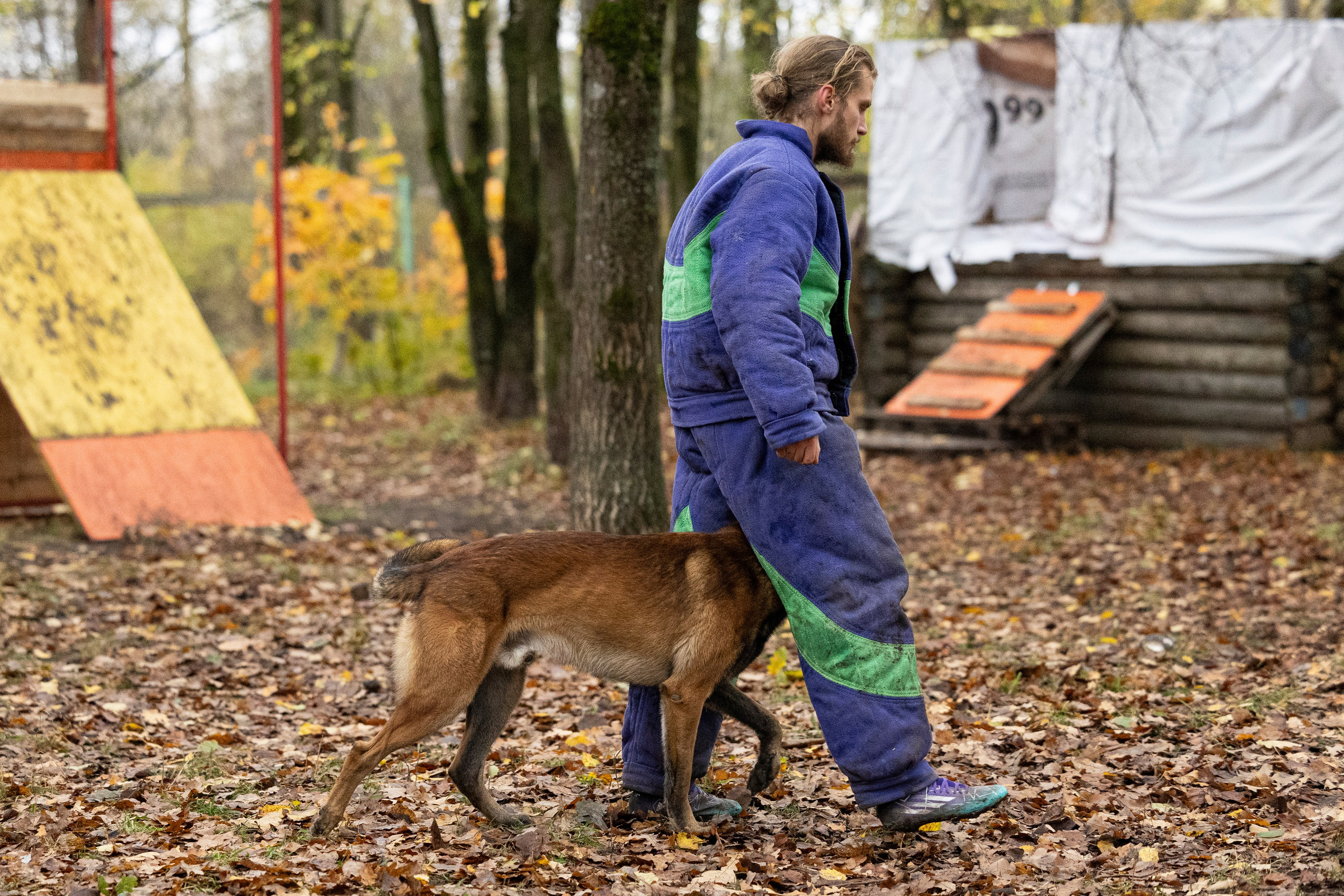 Соревнования по Мондьорингу г. Вологда. Фотограф-анималист Анна Маринич