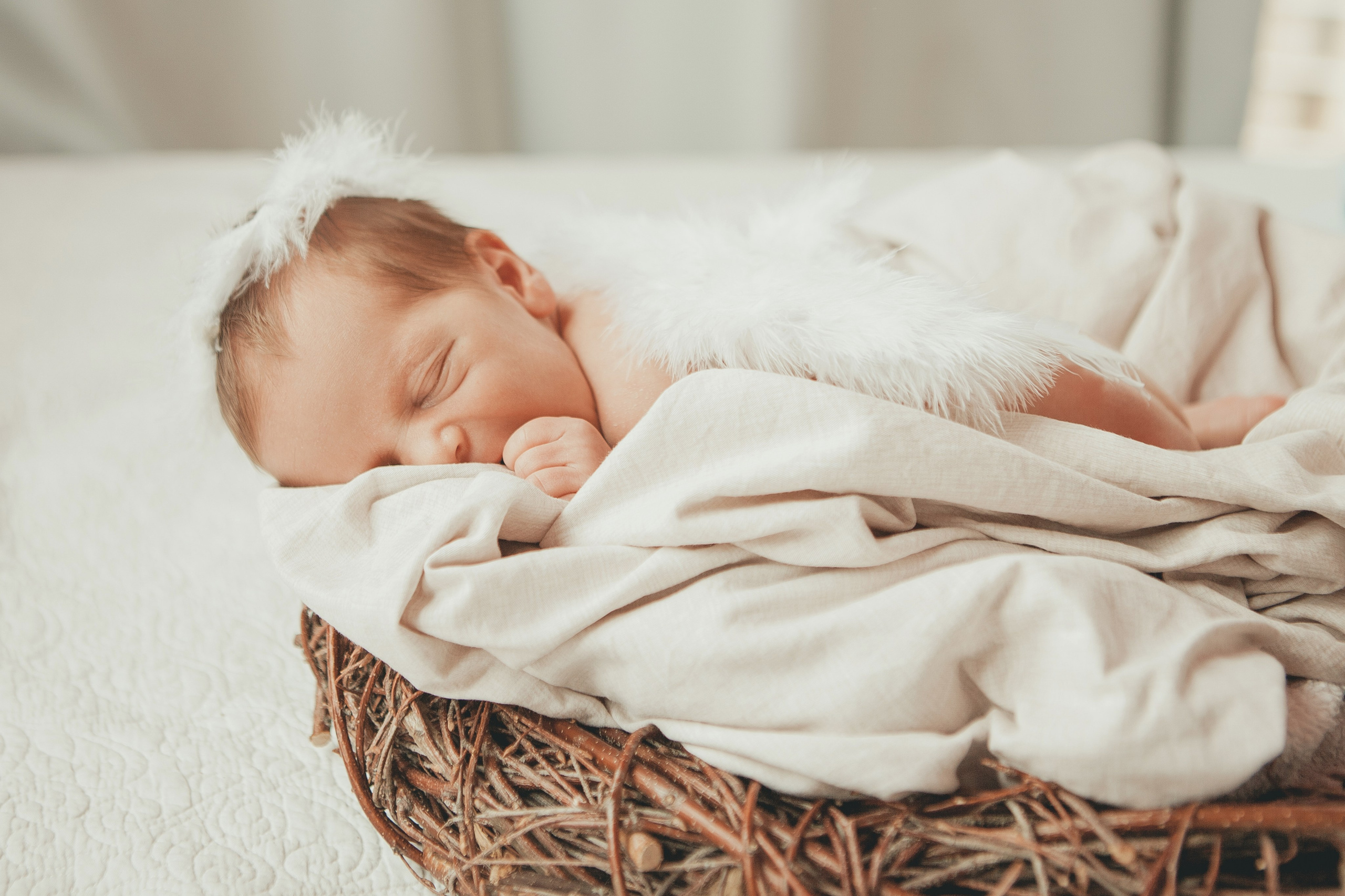 Гордей. Фотограф Ольга Ефремова