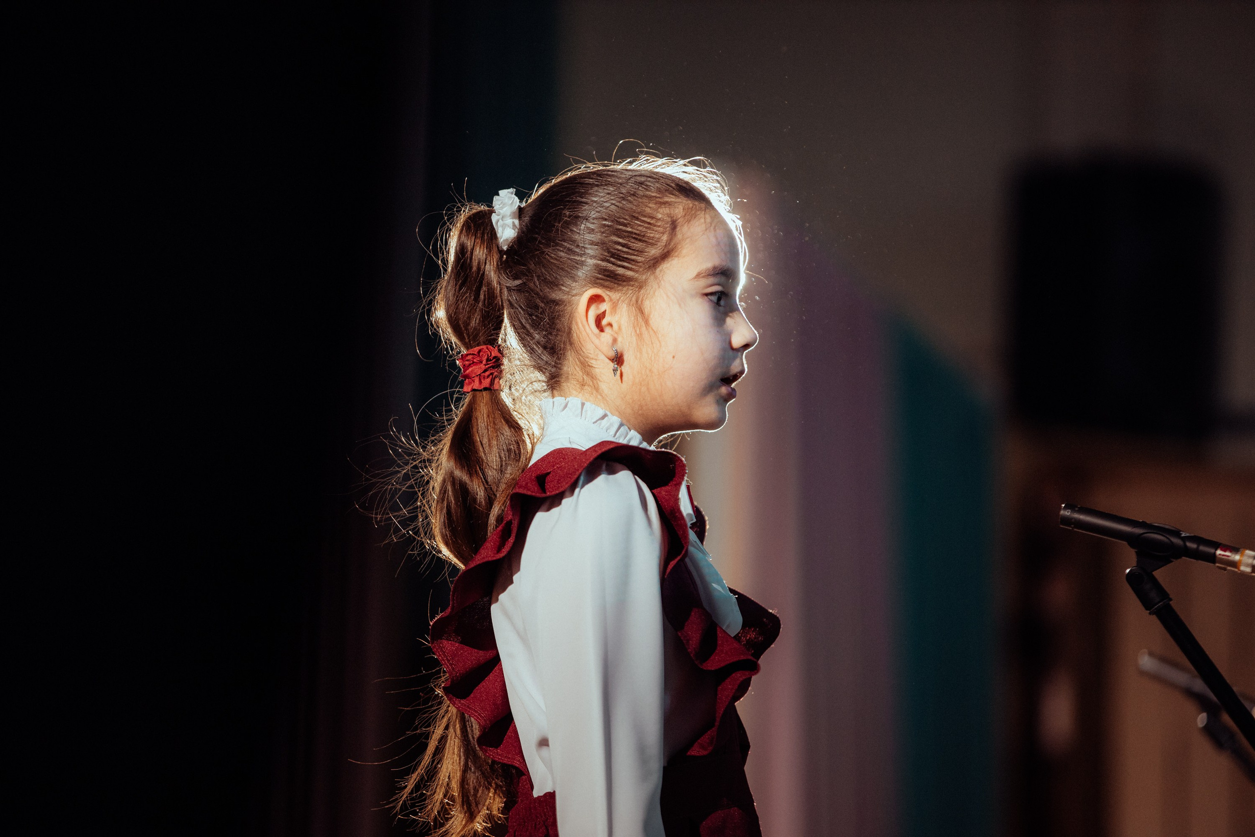 Концерт хорового пения | дши14