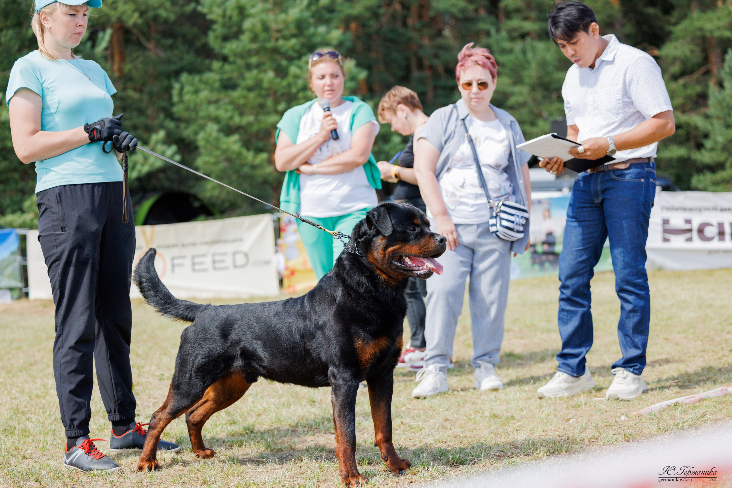 ПК и КЧК ротвейлеры Тверь 6-7.07.2024. Фотограф-анималист Юлия Германика