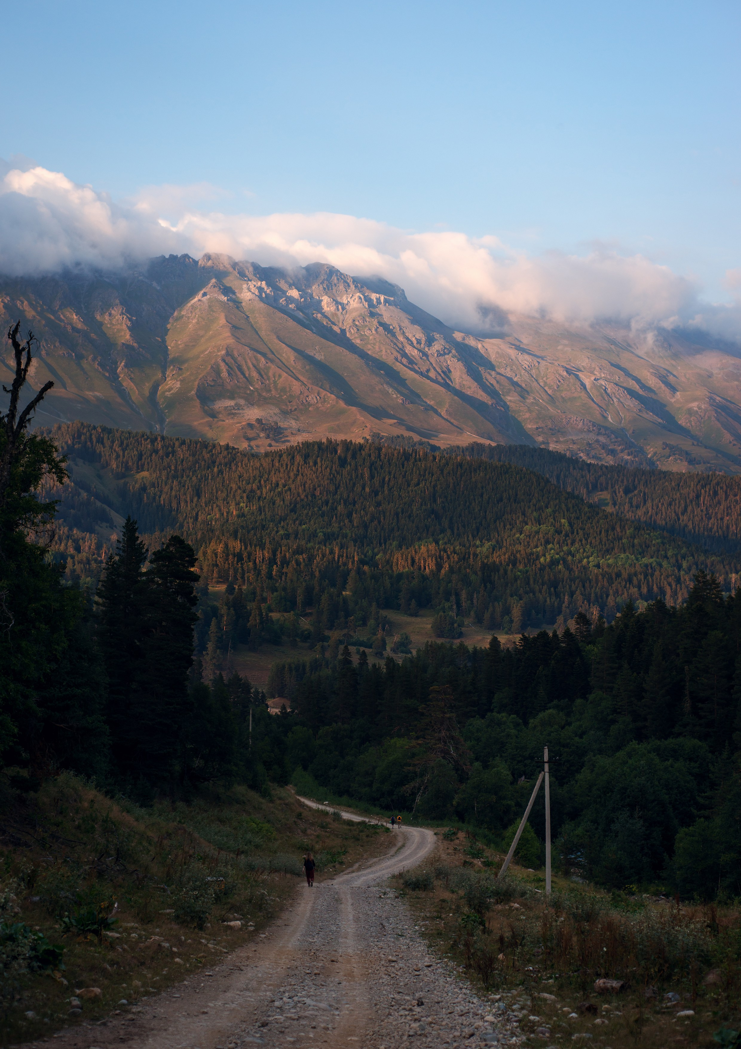 Пейзажи. Фотограф в Санкт-Петербурге Мария Мельникова