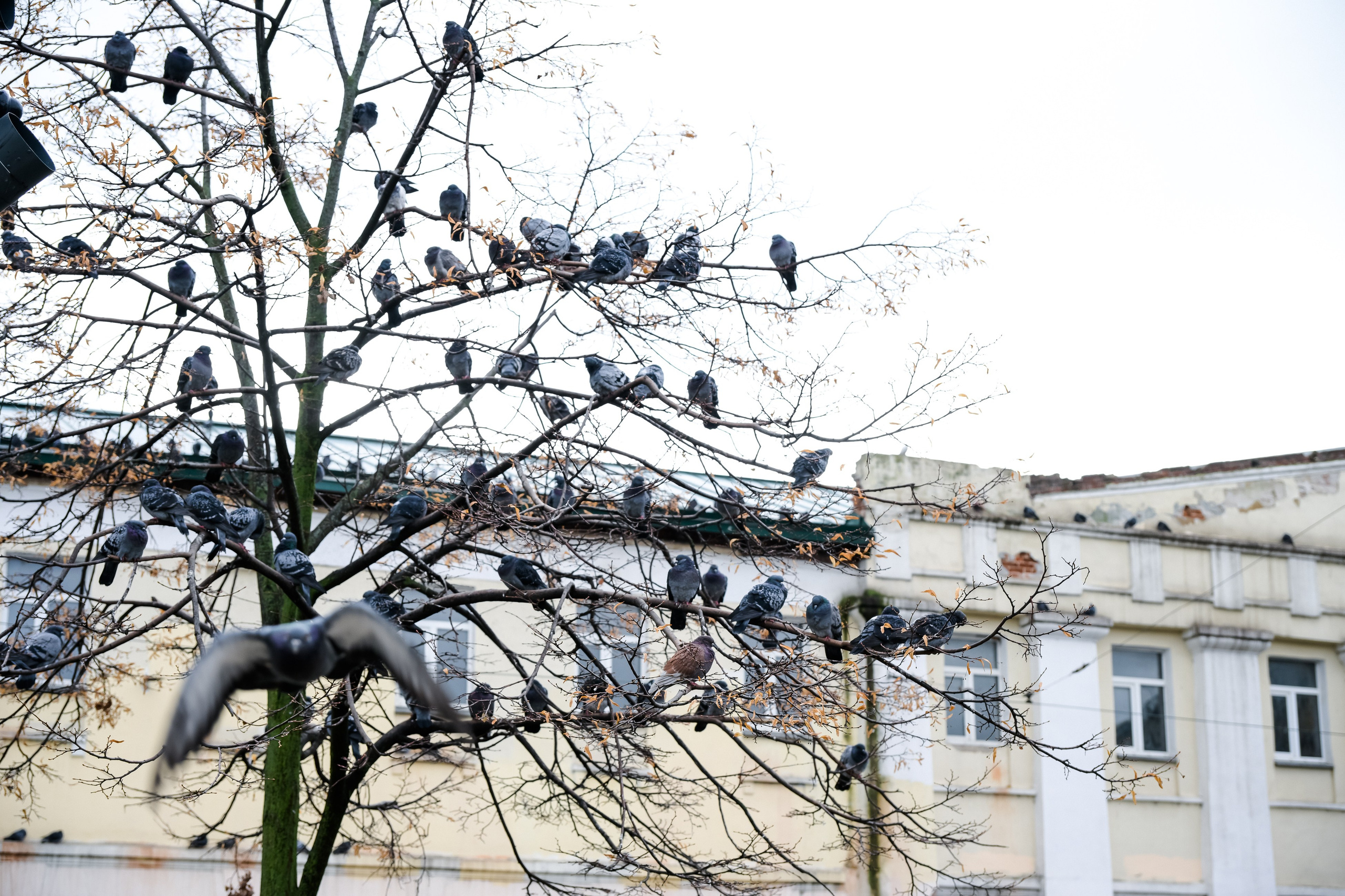 Фотограф в Самаре