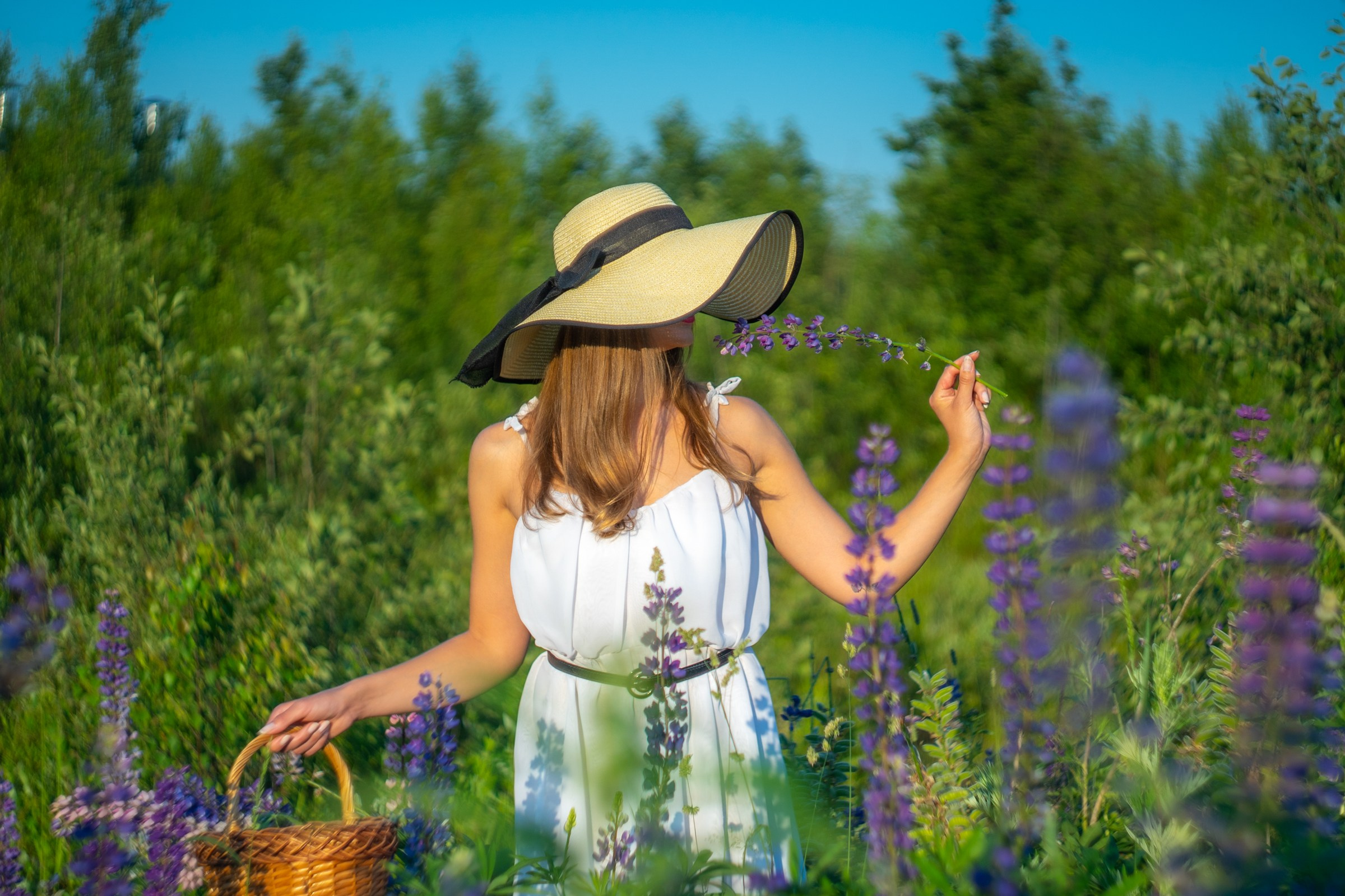 Лиза. Люпины. Портретный фотограф в Санкт-Петербурге Александр Быстрицкий
