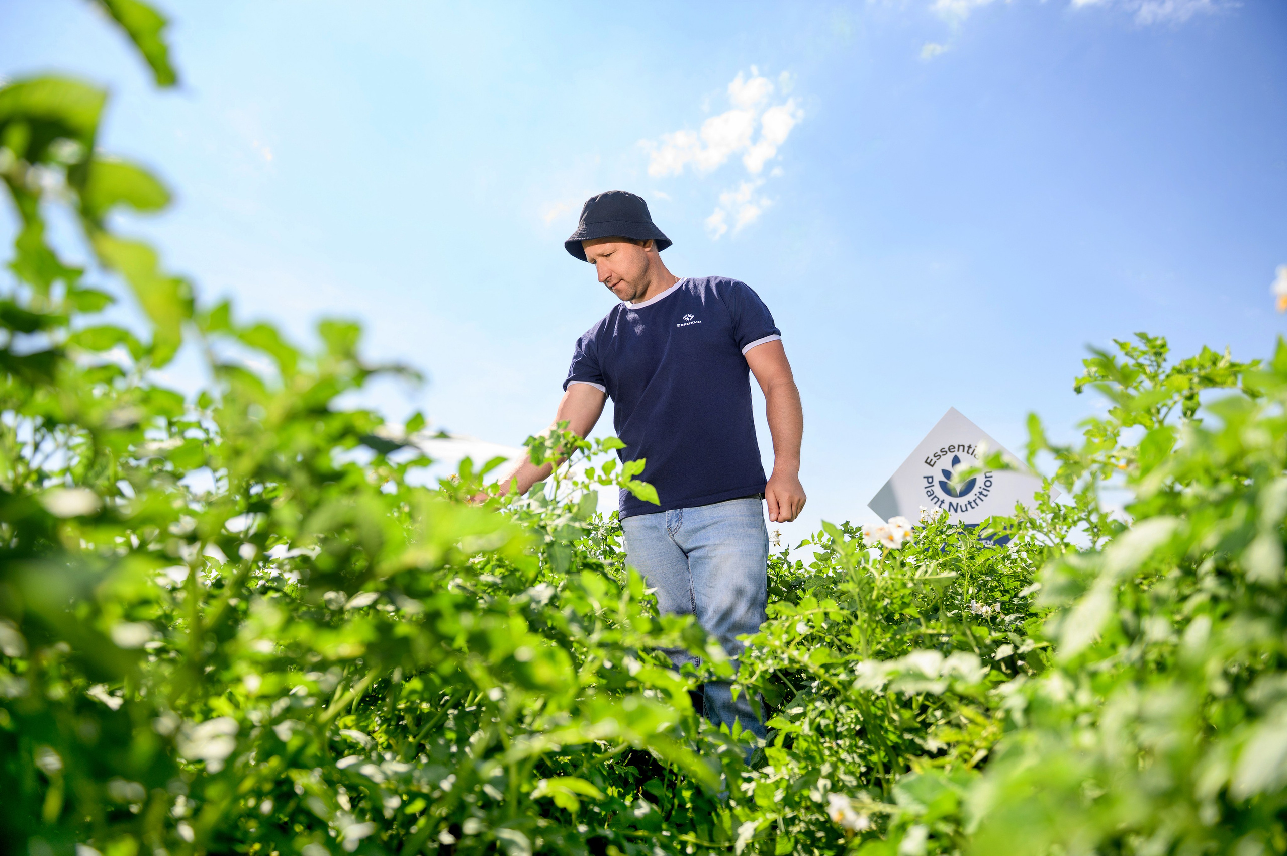 Проекты. Профессиональный фотограф Вячеслав Плацында | Липецк |