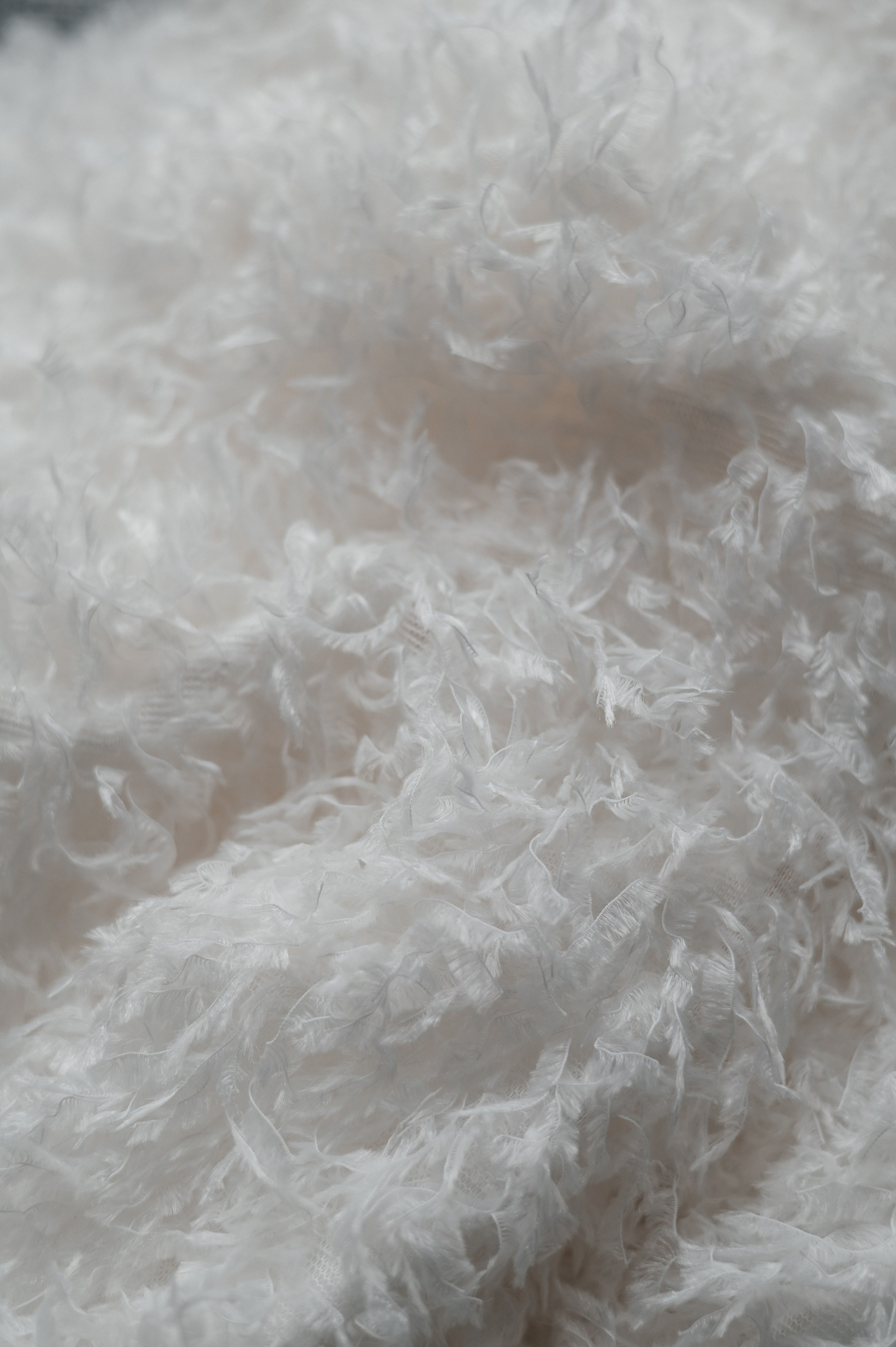 Альбом 13. Свадебный фотограф в Рязани Дзюрак Елизавета