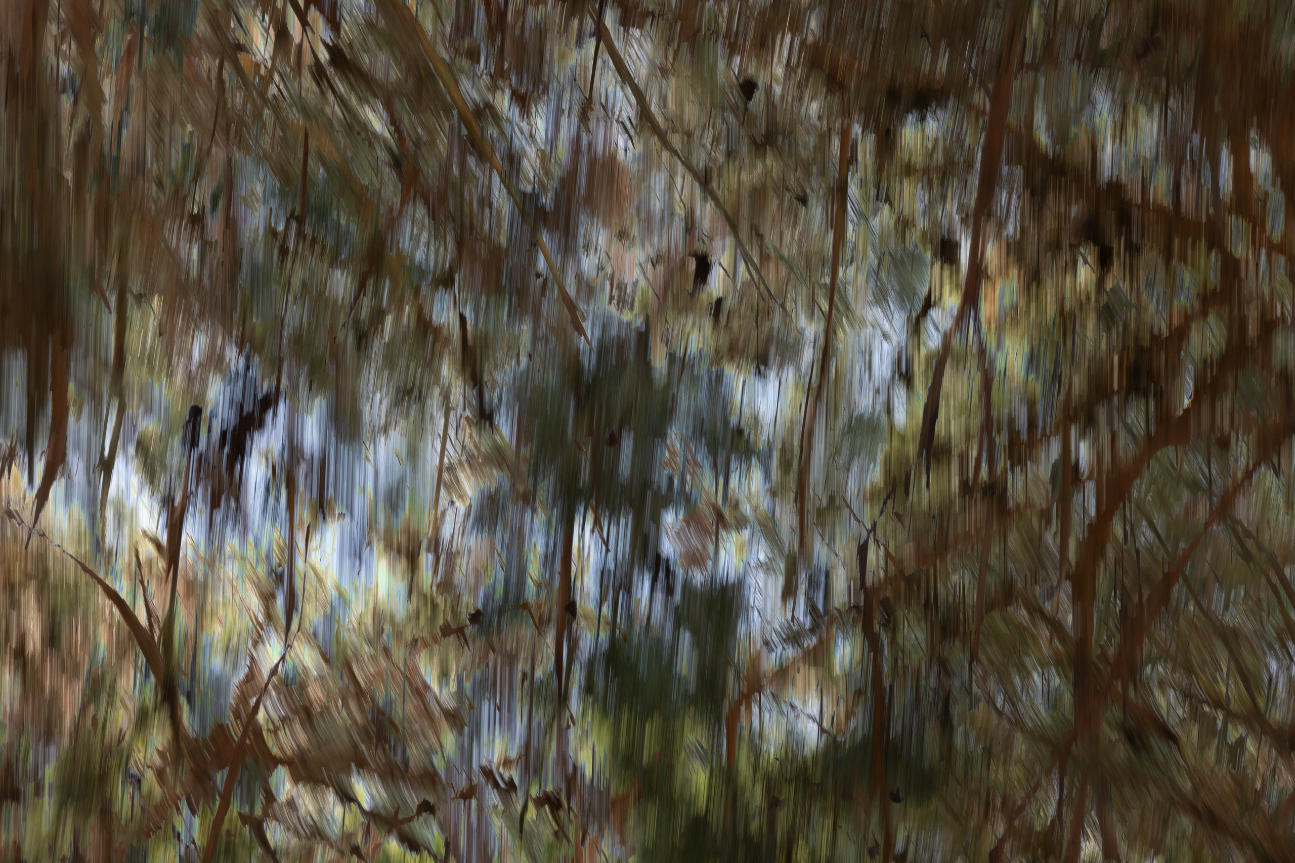 Art prints. Фотограф алина стерхова, алина стерхова фотограф, фотограф москва