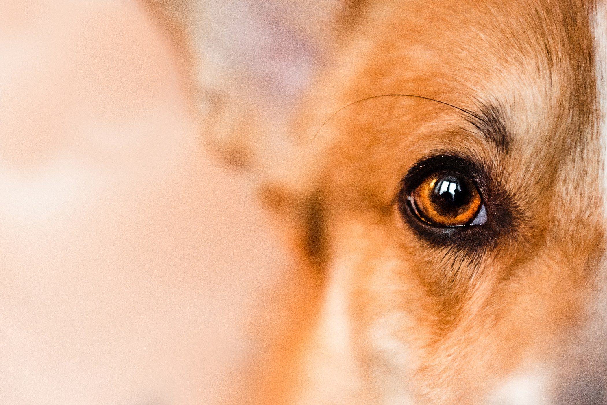 Пижамная вечеринка Тани и Димы. Семейный Фотограф в Москве Ирина Хохлова