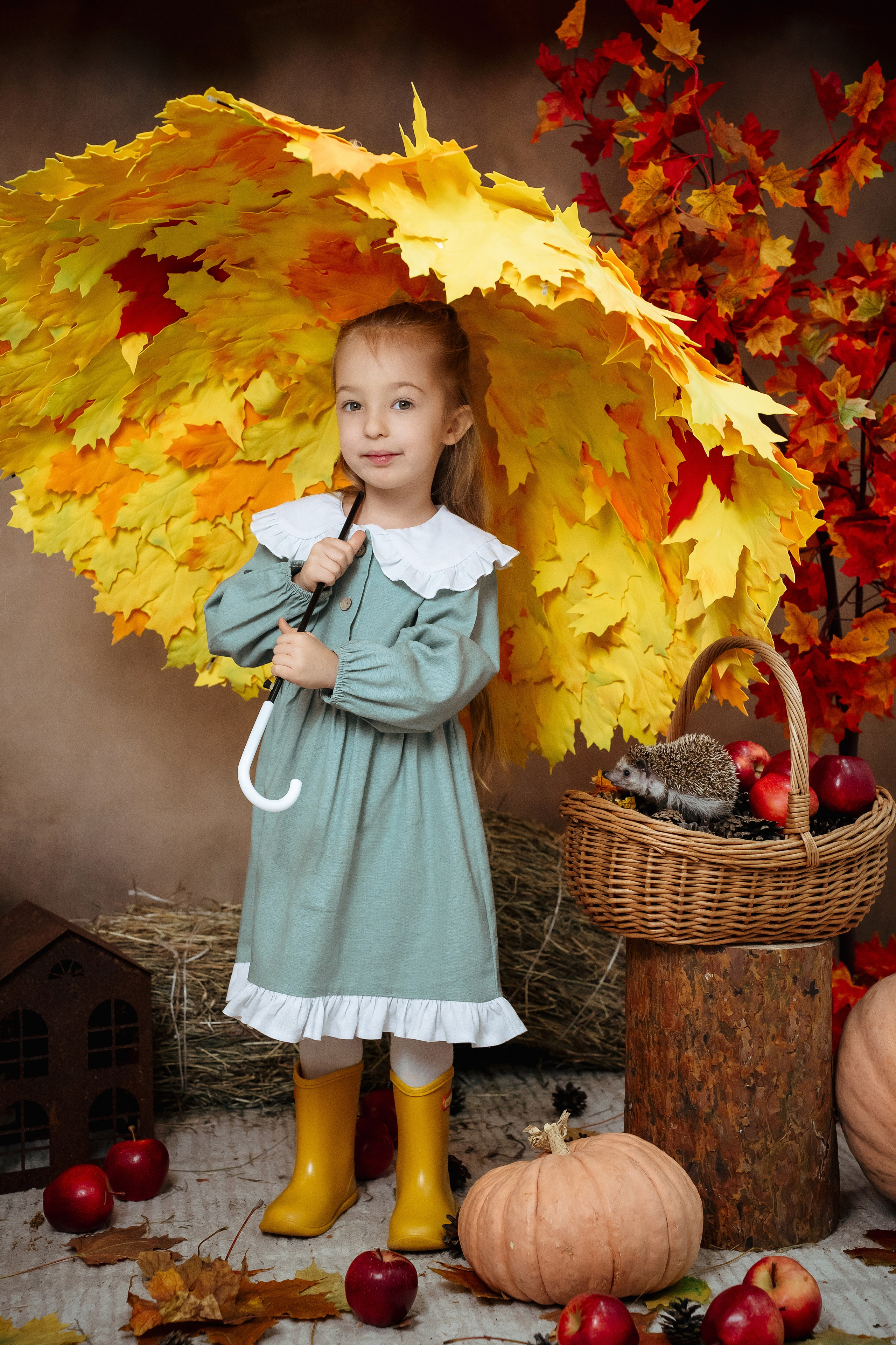 Ёжик. Фотограф Казакова Анастасия