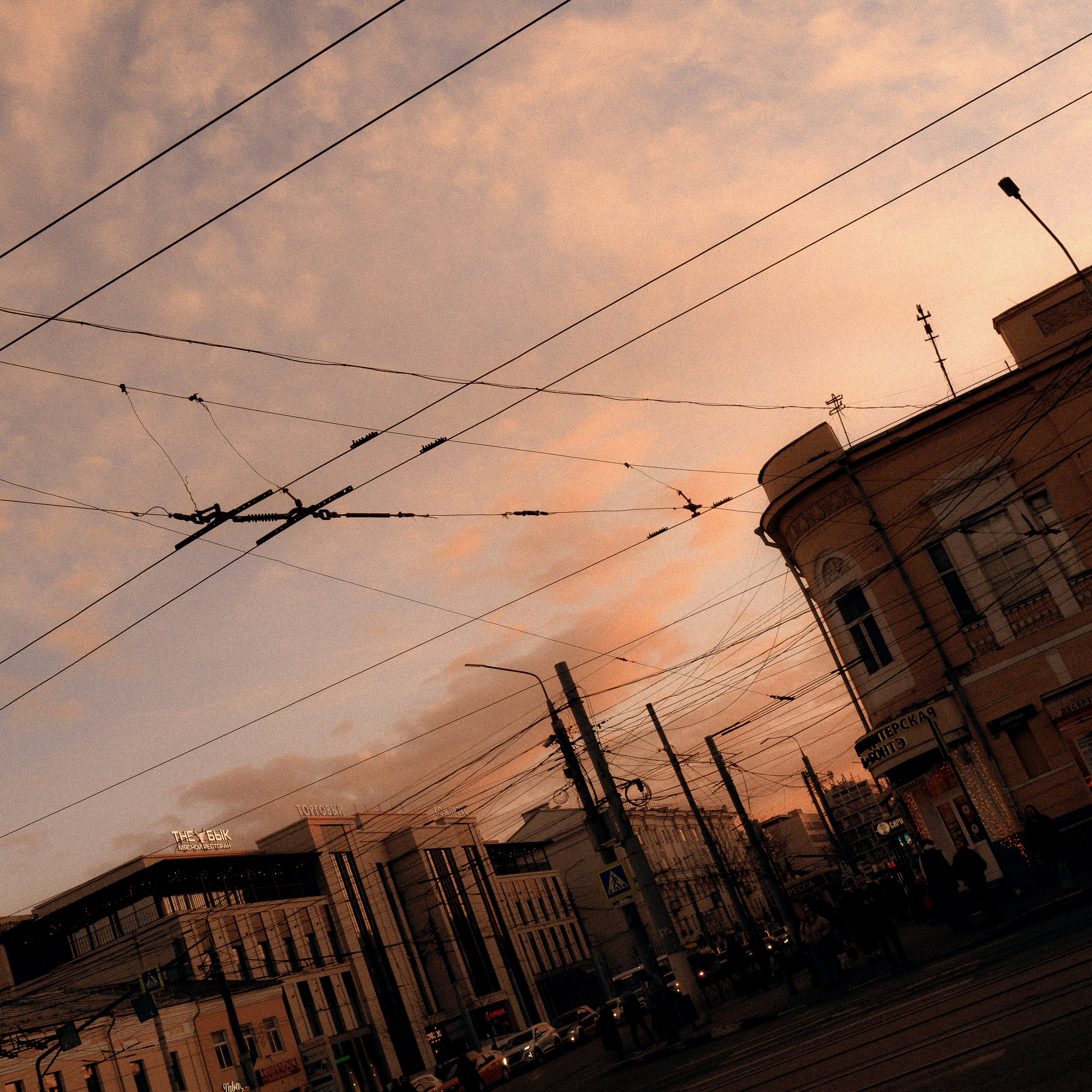 Тула '25. Фёдор Малюгин. Ваш бади в визуале