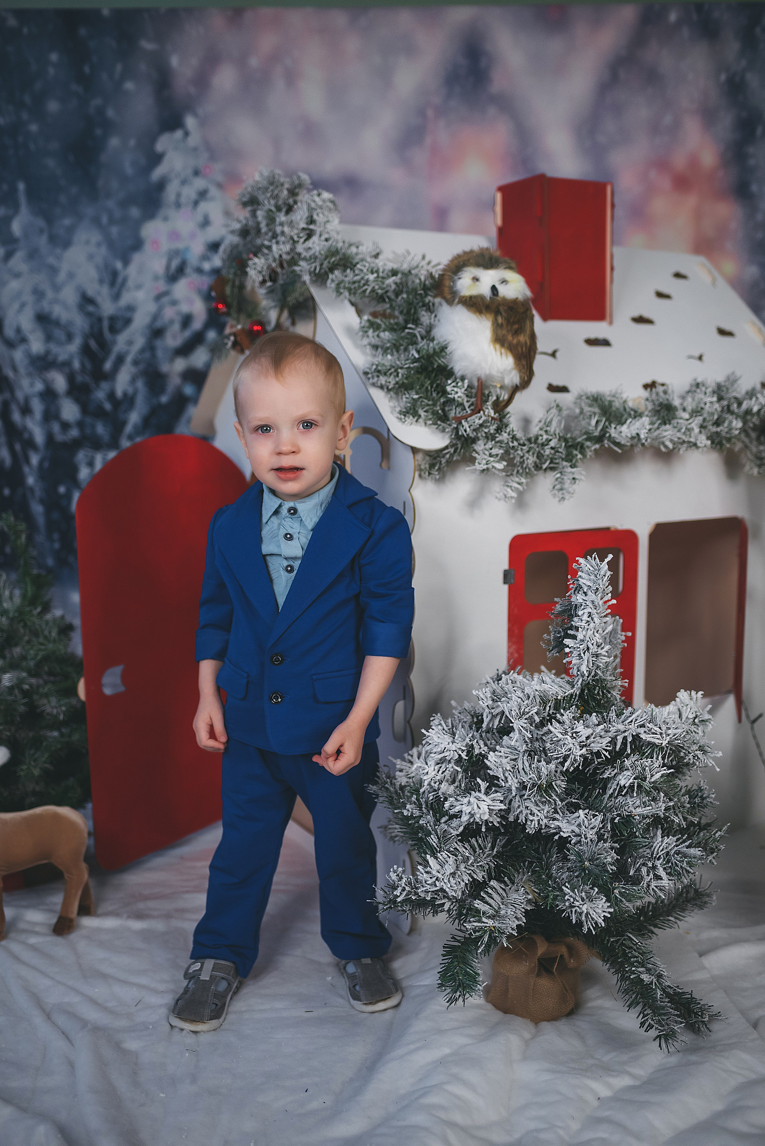 Проект «Новогодний домик». Семейный и детский фотограф в Тейково