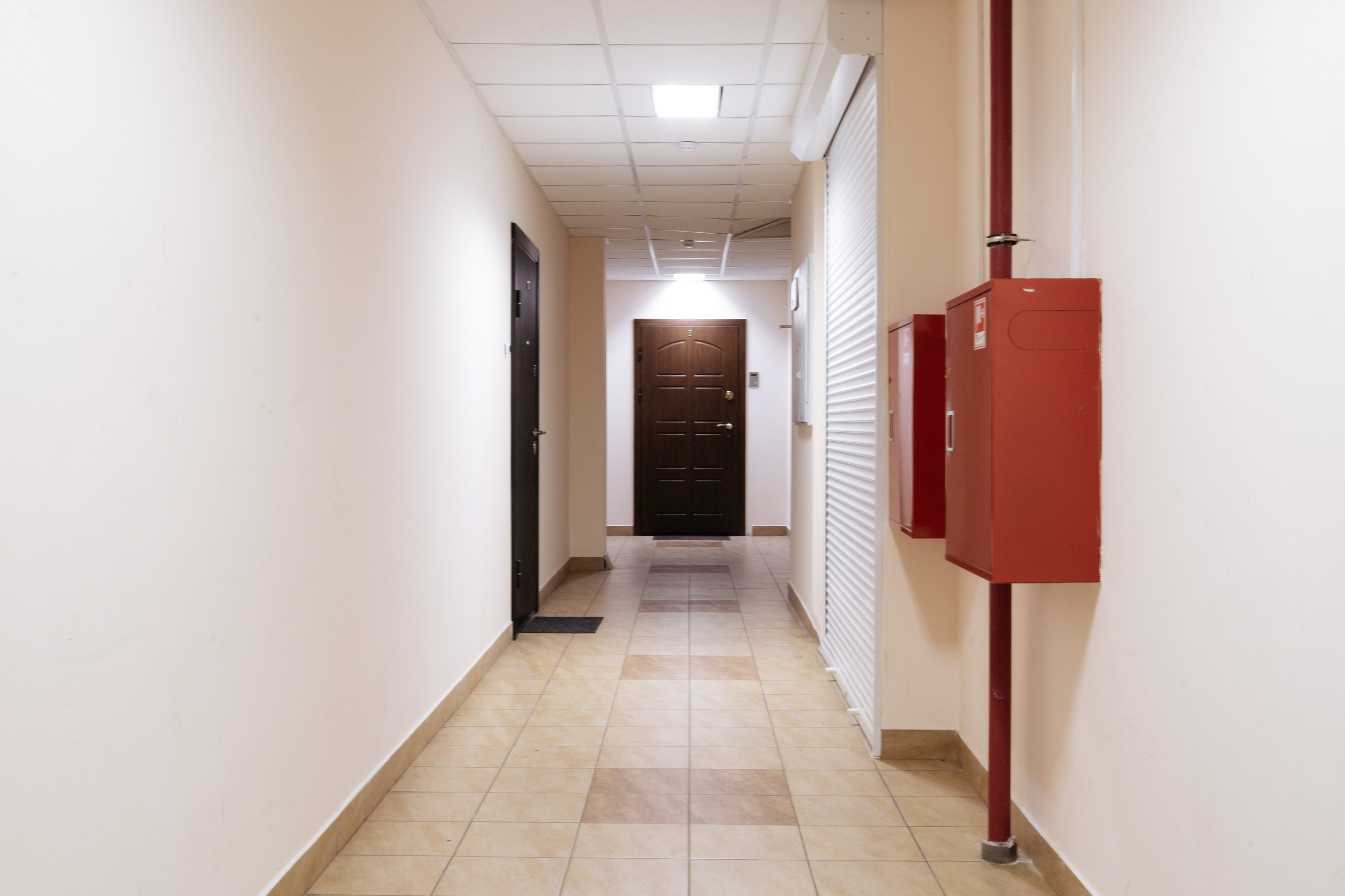 Однокомнатная квартира. Свадебный и женский фотограф в Санкт-Петербурге Муртеева Екатерина