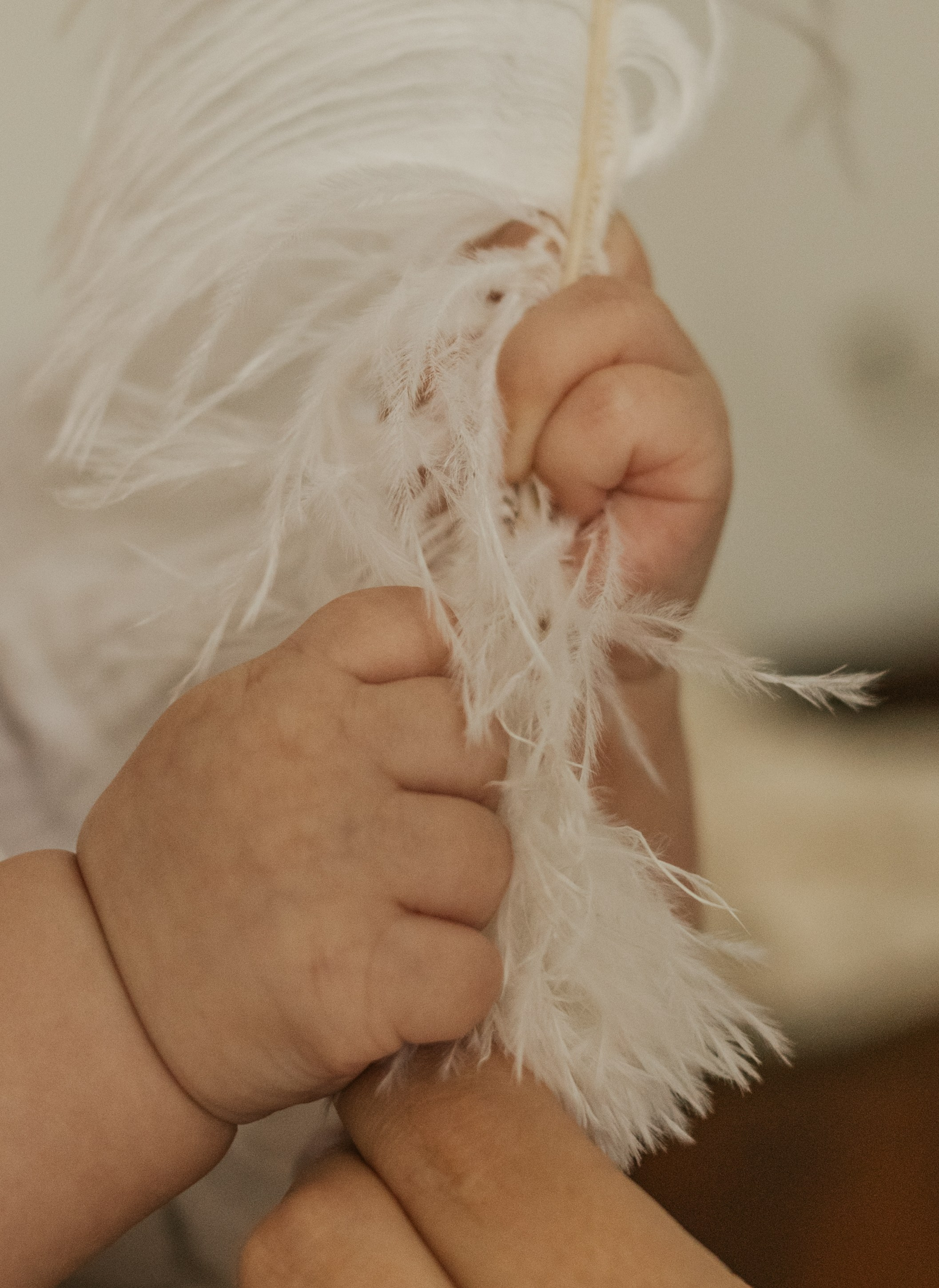 Однажды летом. Семейный и детский фотограф в Тюмени Вика Алленова