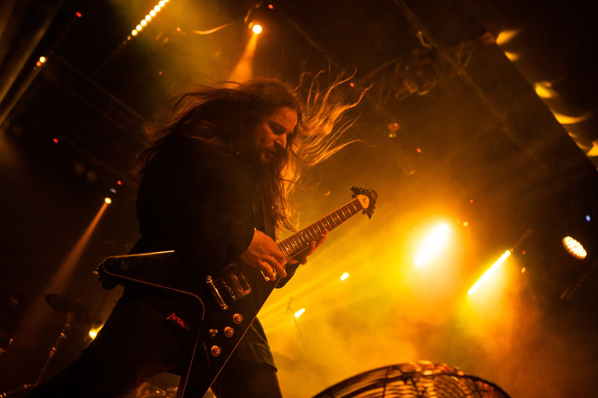 Animal ДжаZ. Репортажный фотограф Алексей Пирязев