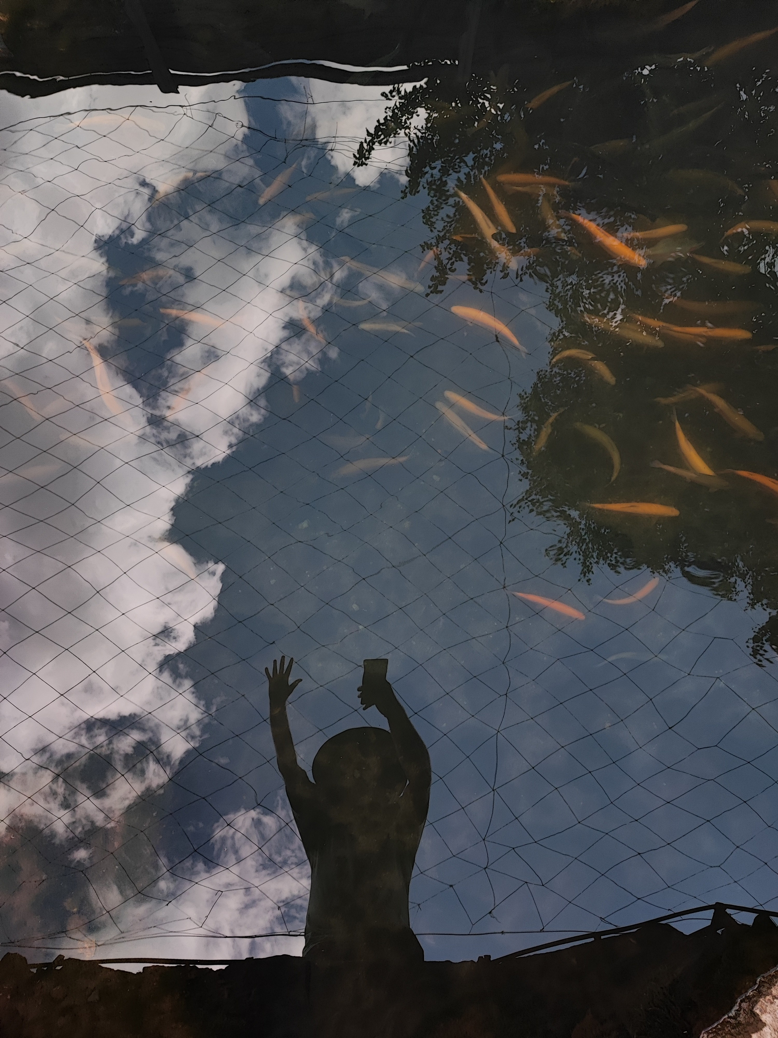 Намобилкус кавказский. Репортажный фотограф Алексей Пирязев