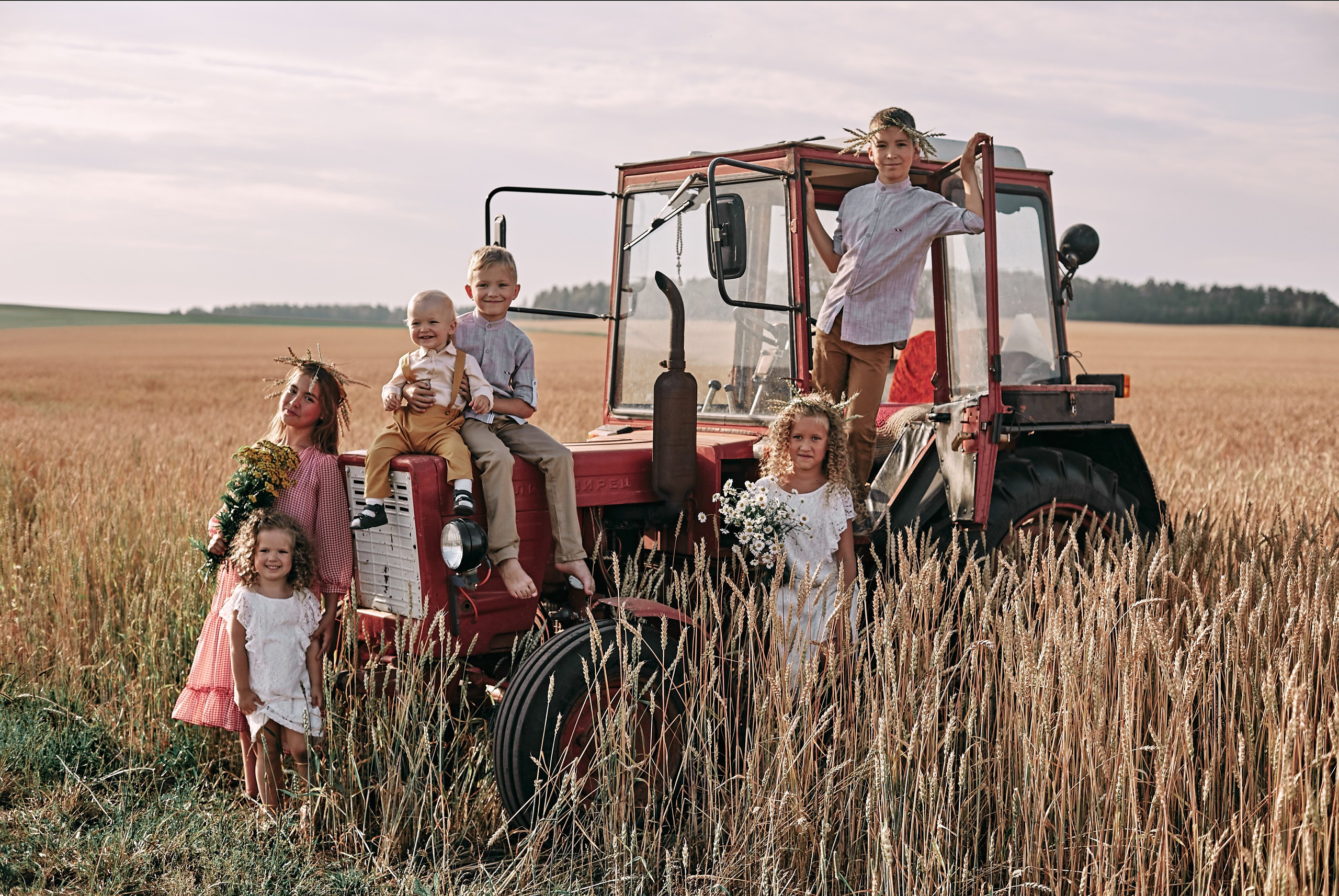 Большая семейная съемка в поле. Главная