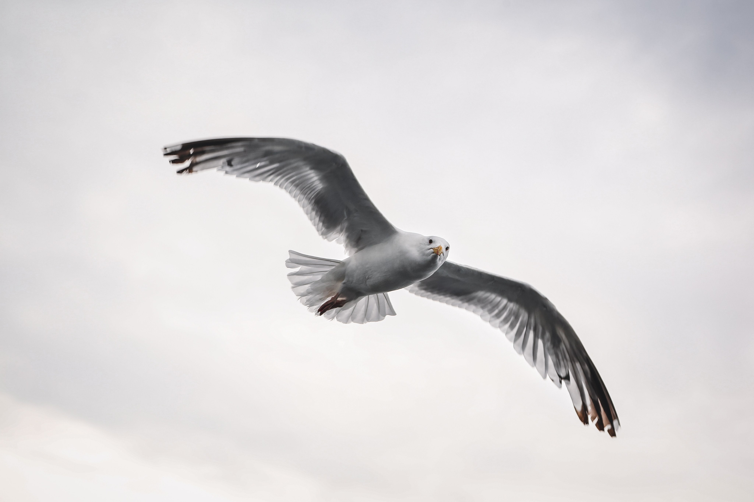 Байкал летний: легенды и святыни. Дарья Письменюк / Darya Leitstern — фотограф, музыкант, журналист, путешественник