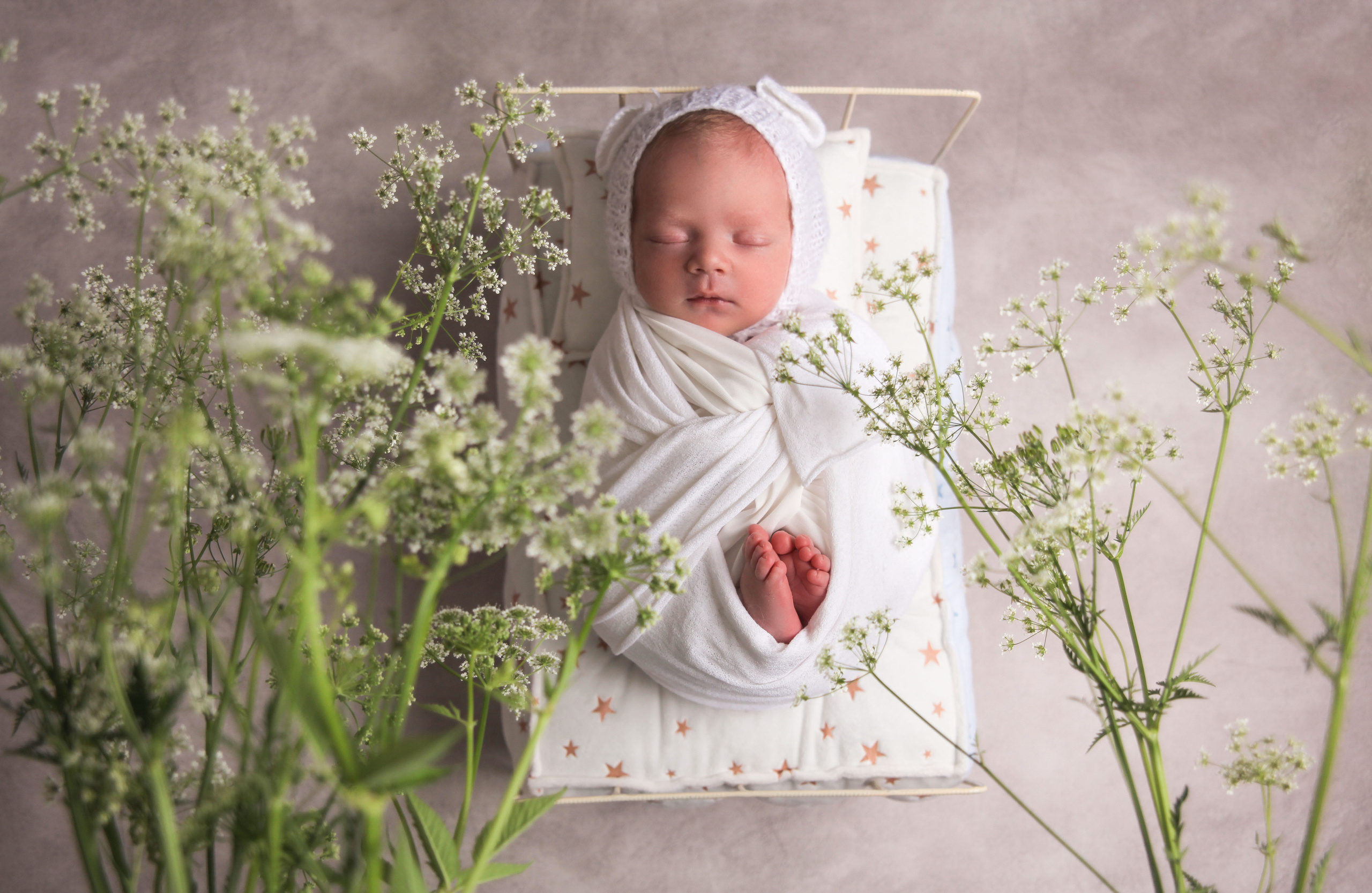 НОВОРОЖДЕННЫЕ до месяца. Мишугина Ольга Фотограф новорожденных, семейный и детский фотограф