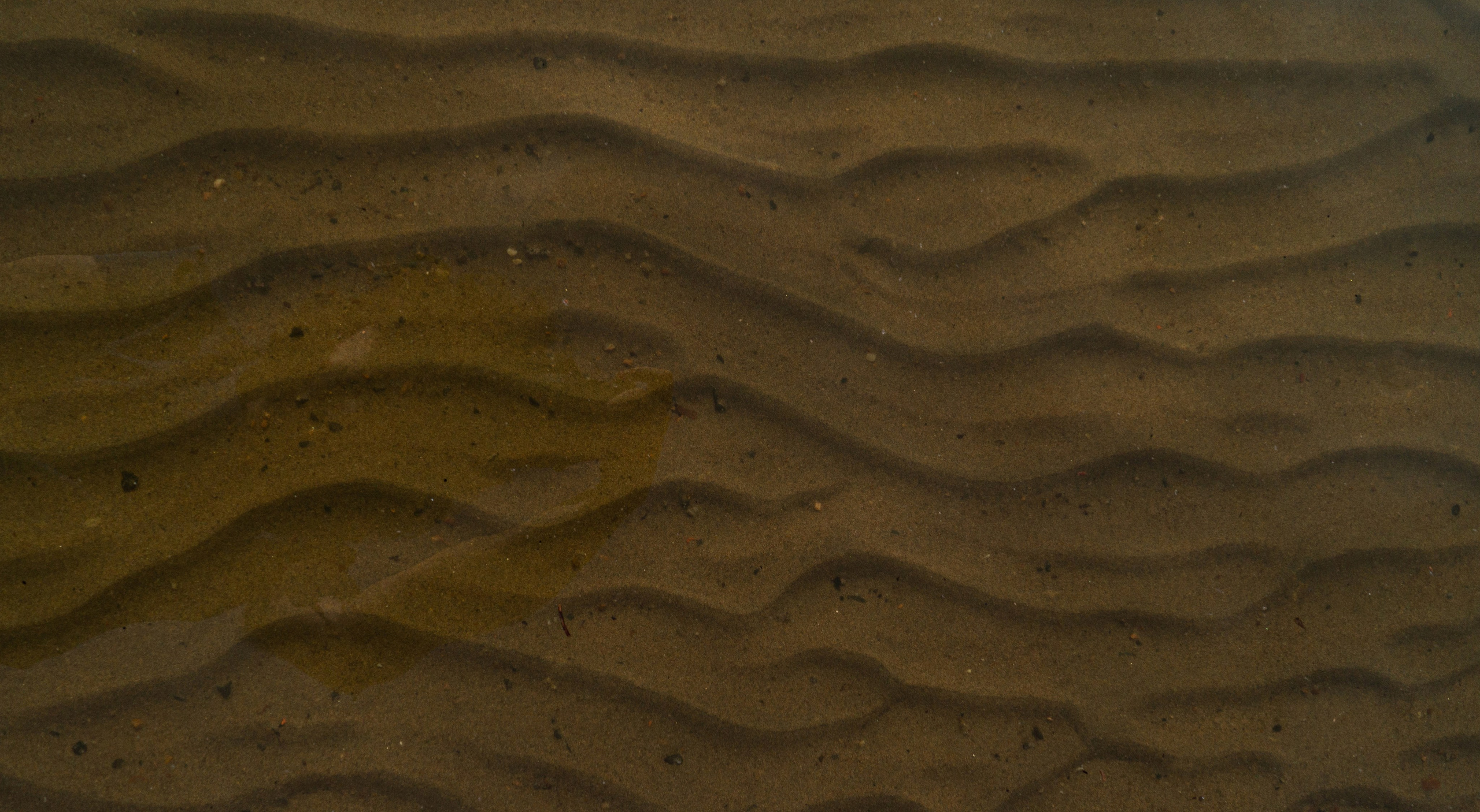 Мой ДВ. Колентеева Наталья/фотограф