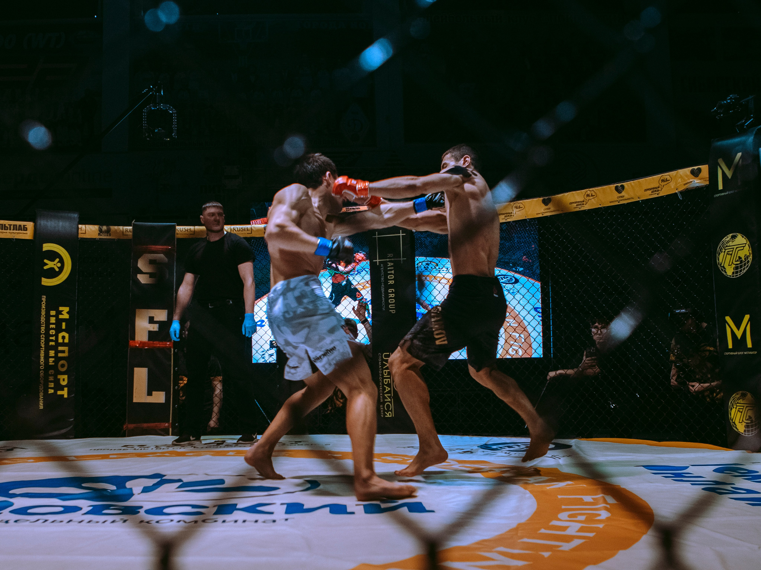 SFL 17 | Siberian Fighting League. Портретный фотограф в Москве Дарья Цезария