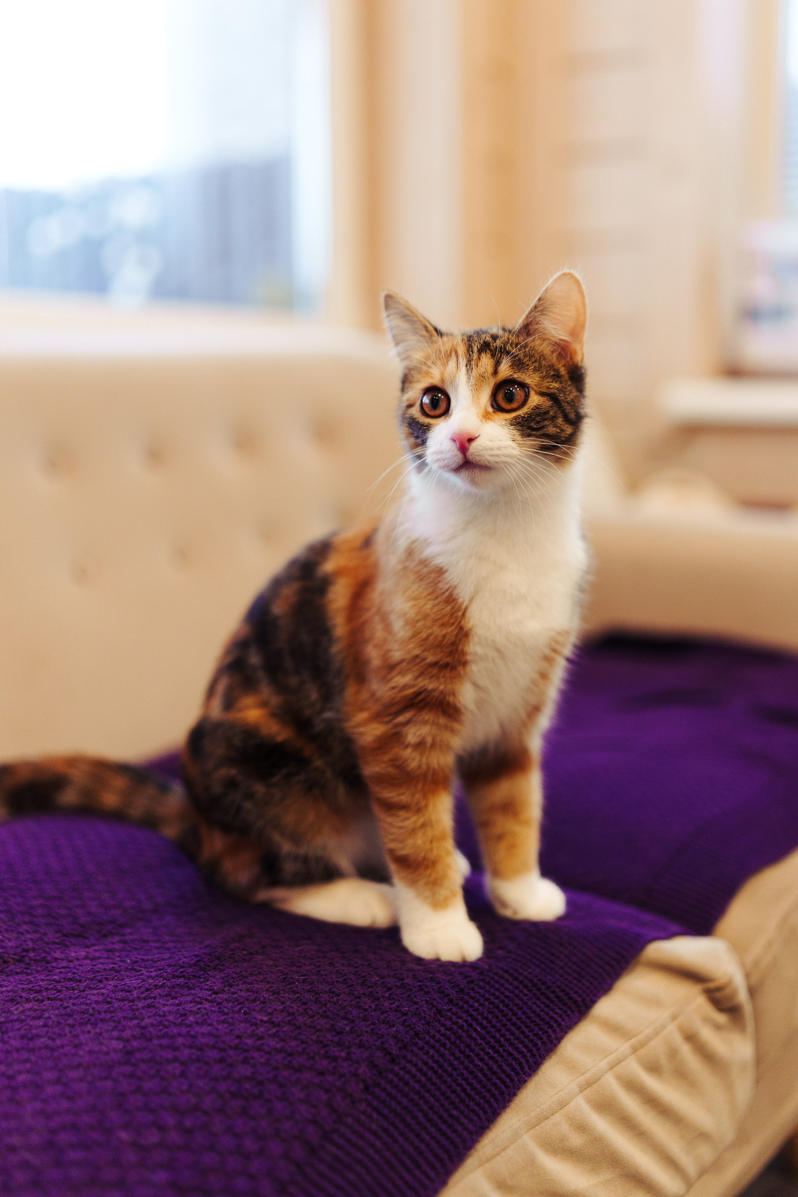 Corner Kaltino by Unistroy. Фотограф в СПБ Алмаз Камаев