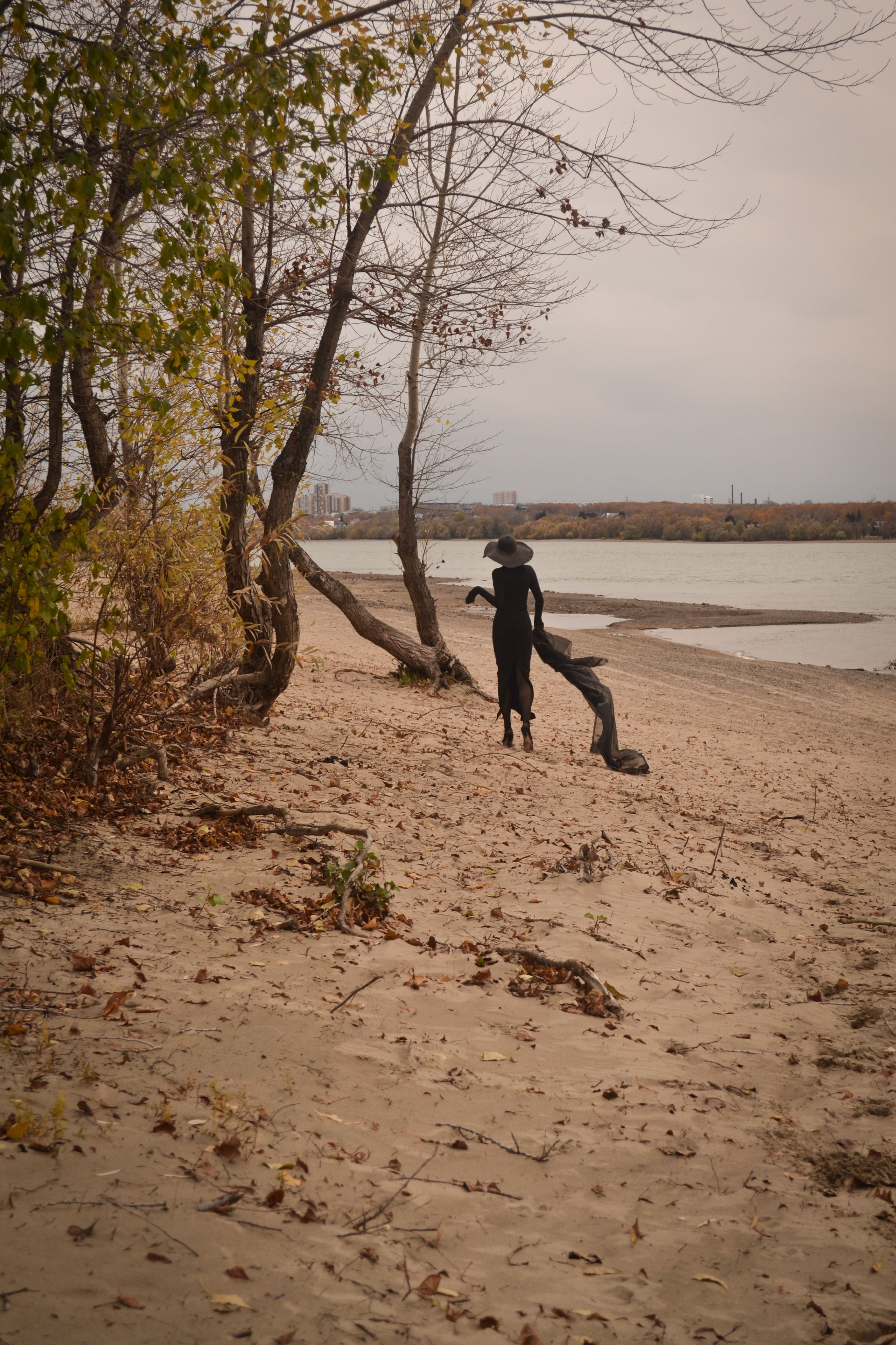 Фото-дни, прогулки. Photograper Israel/фотограф Израиль. ALINA TARAN