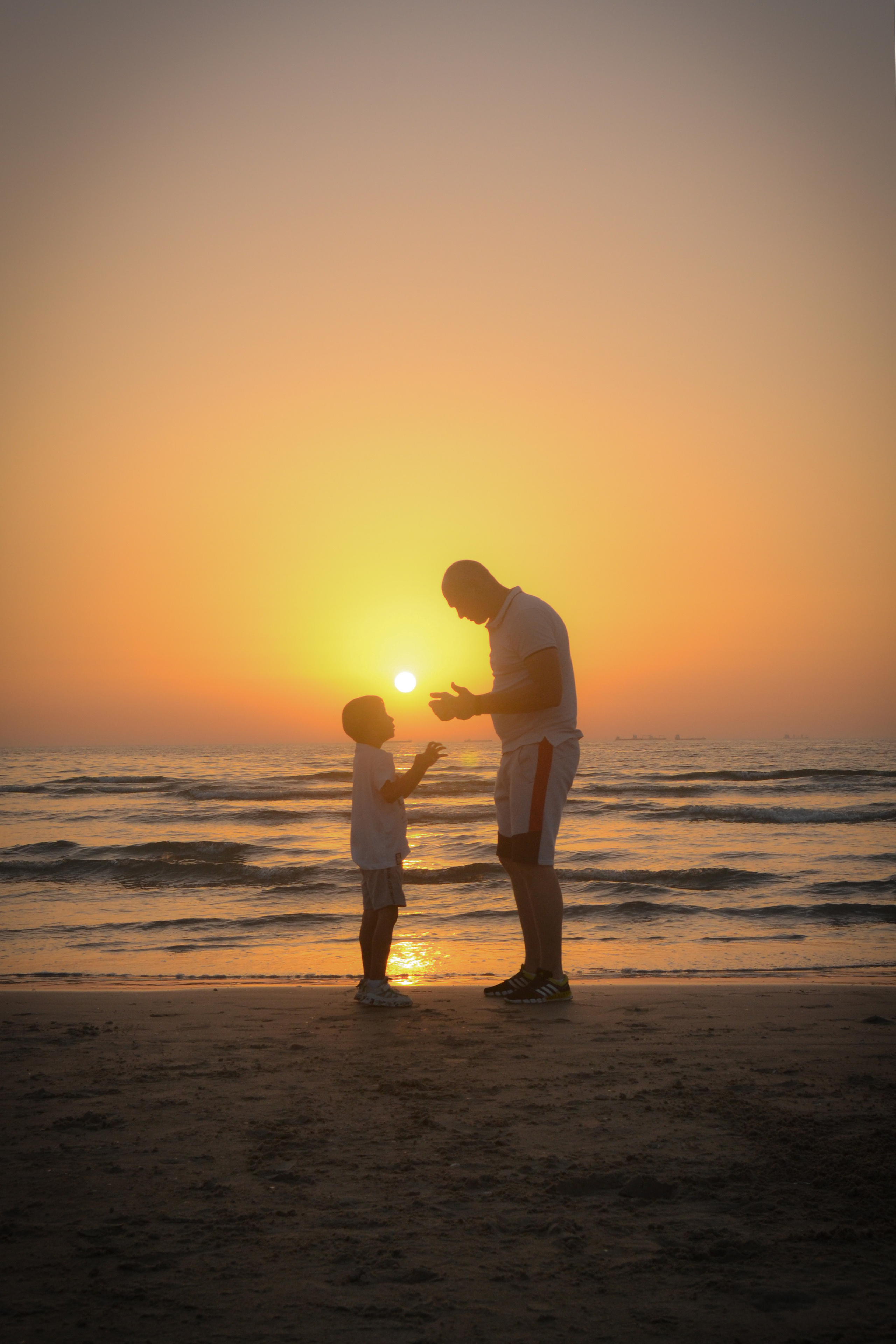 Семейные. Photograper Israel/фотограф Израиль. ALINA TARAN