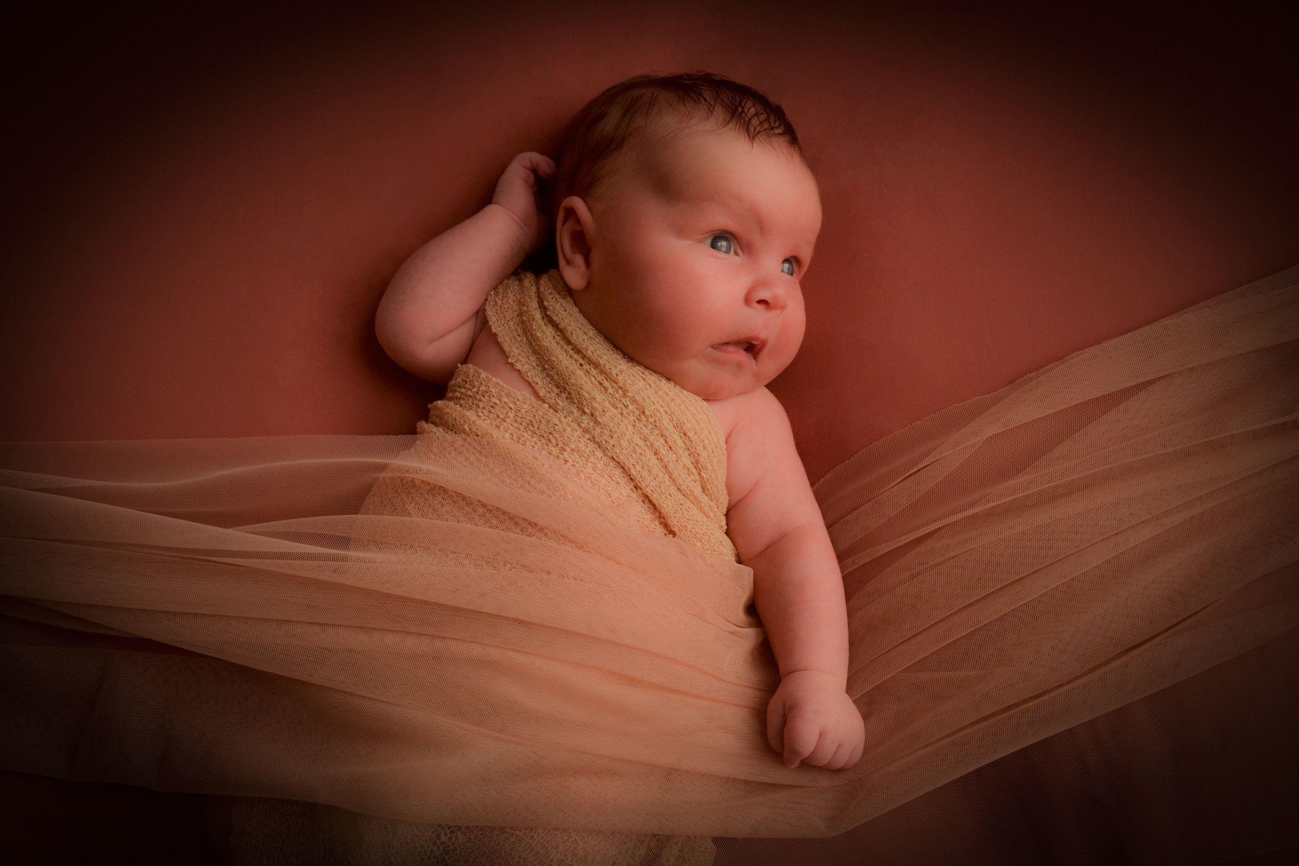 Newborn. Photograper Israel/фотограф Израиль. ALINA TARAN