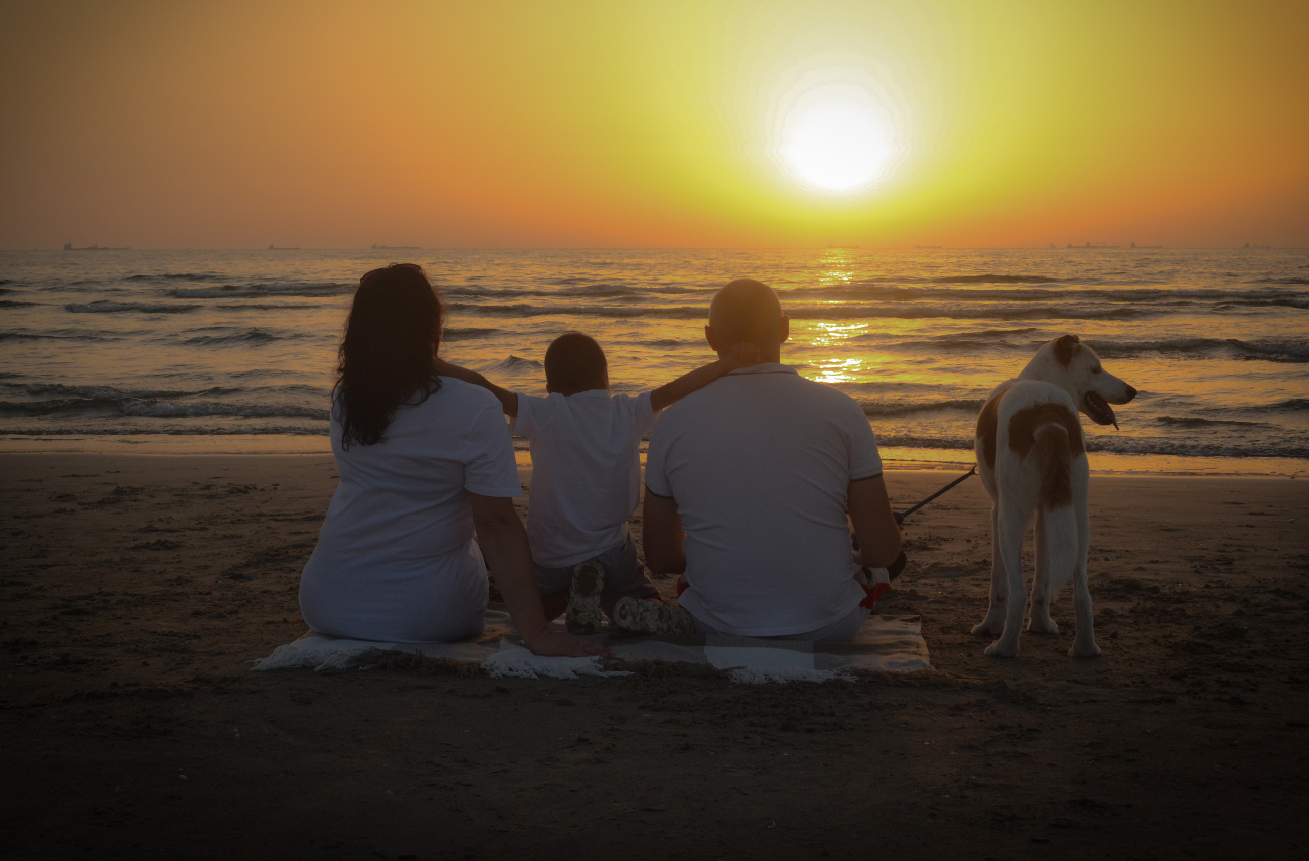 Семейные. Photograper Israel/фотограф Израиль. ALINA TARAN