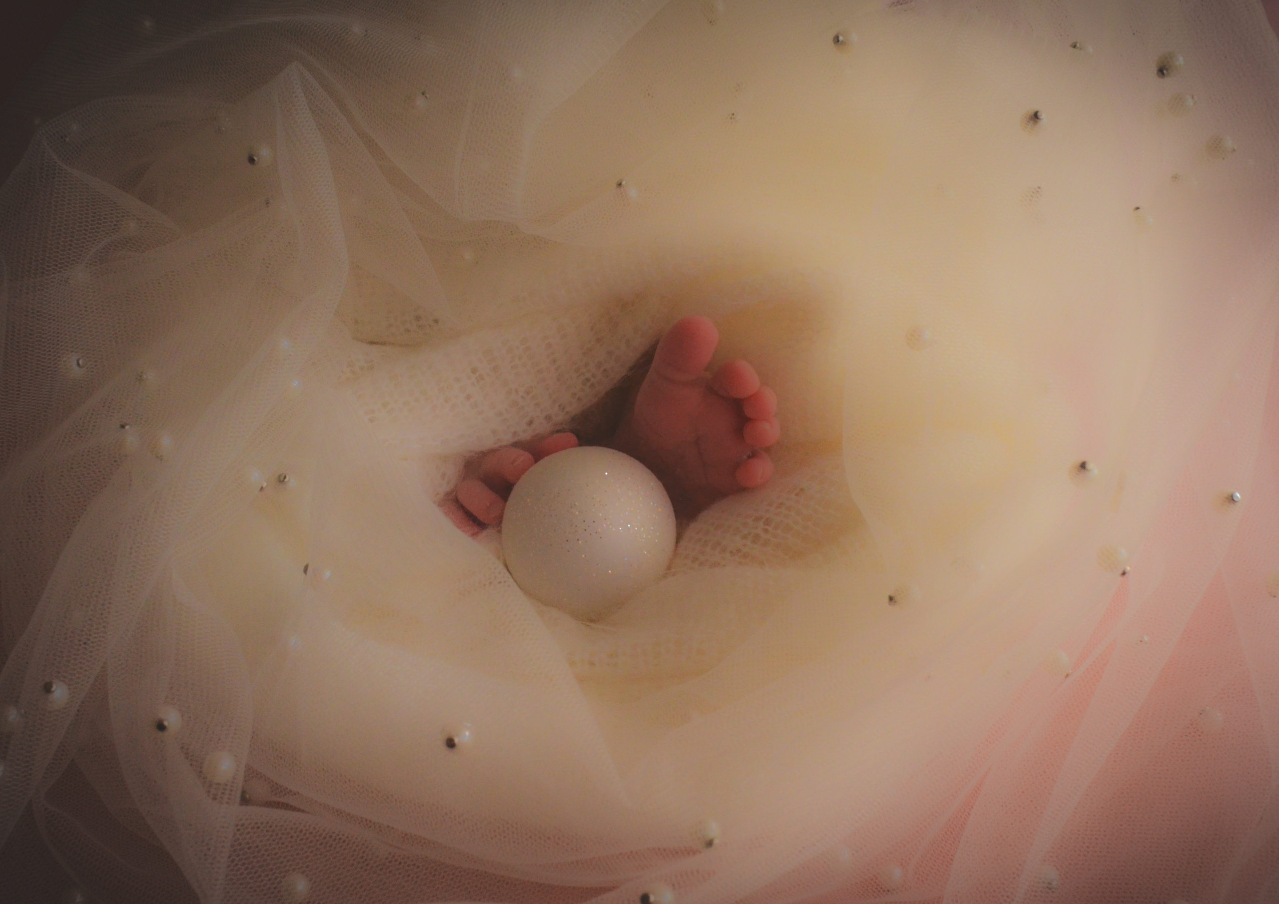 Newborn. Photograper Israel/фотограф Израиль. ALINA TARAN