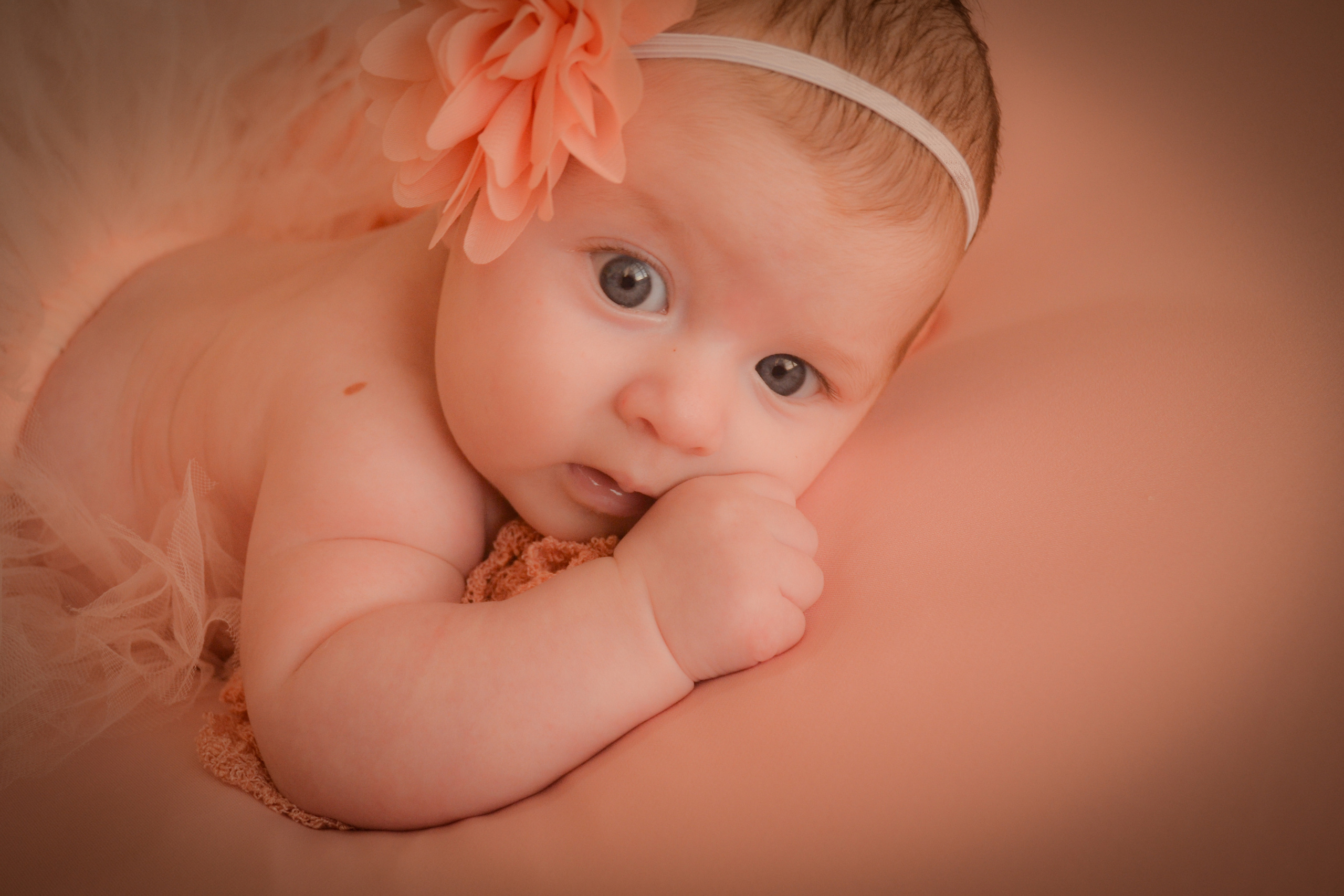 Newborn. Photograper Israel/фотограф Израиль. ALINA TARAN