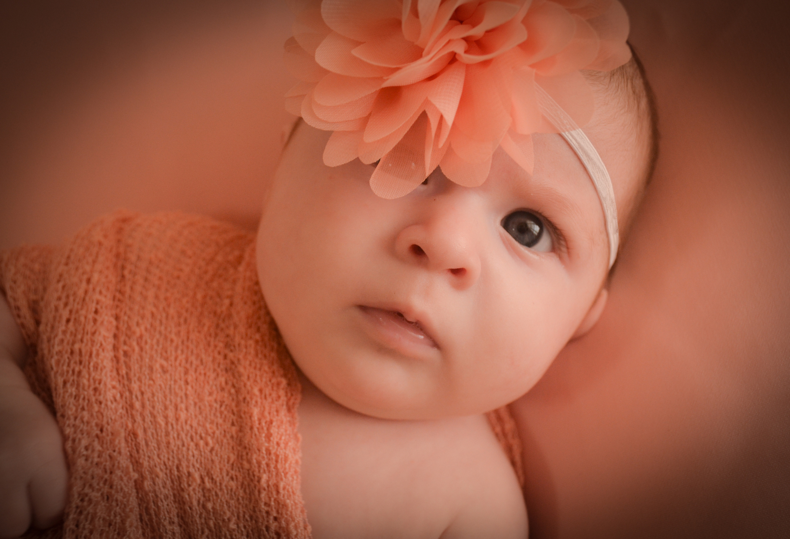 Newborn. Photograper Israel/фотограф Израиль. ALINA TARAN