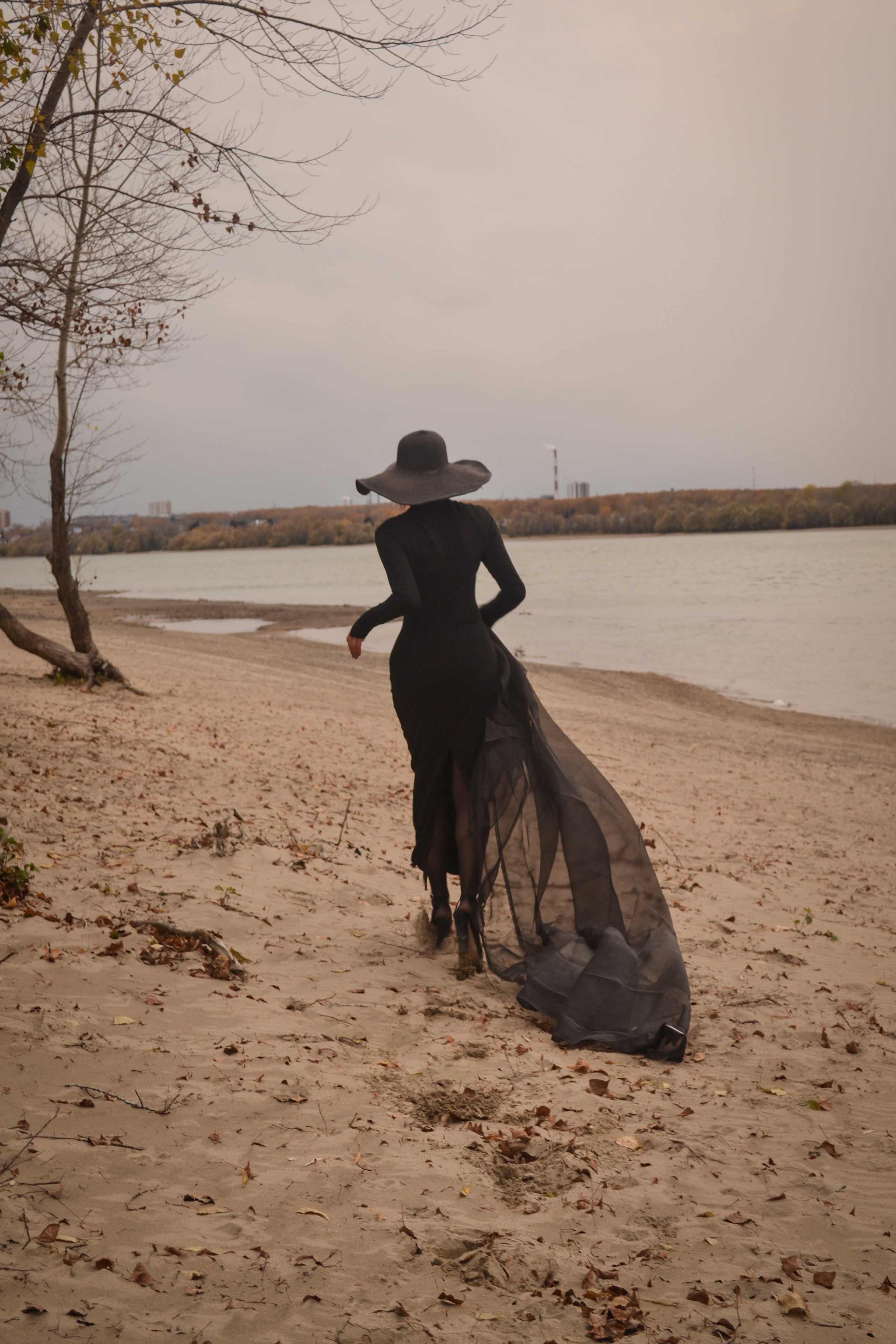 Фото-дни, прогулки. Photograper Israel/фотограф Израиль. ALINA TARAN