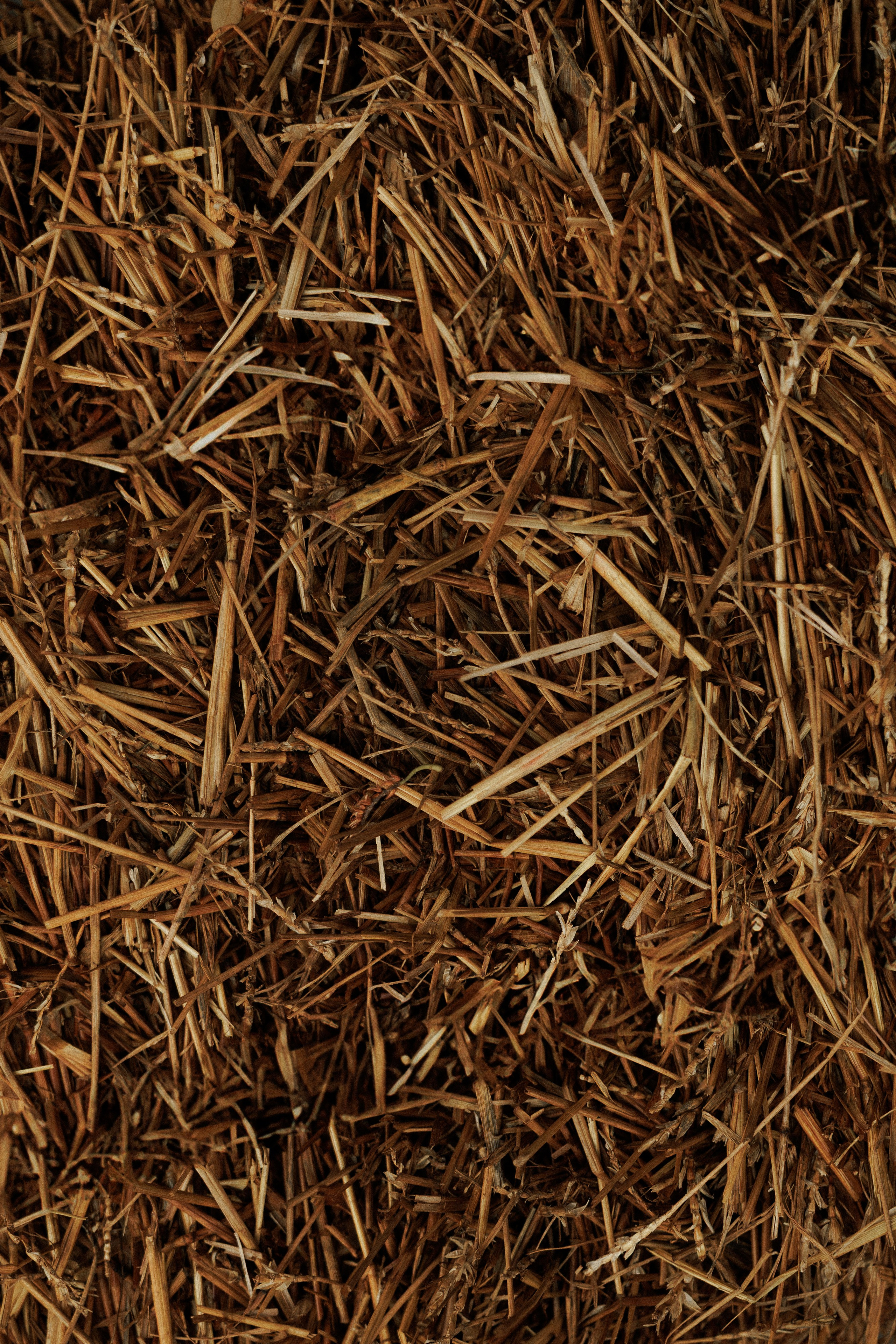 КОРПОРАТИВ DR.HUG. Свадебный и event-фотограф Иван Волнухин