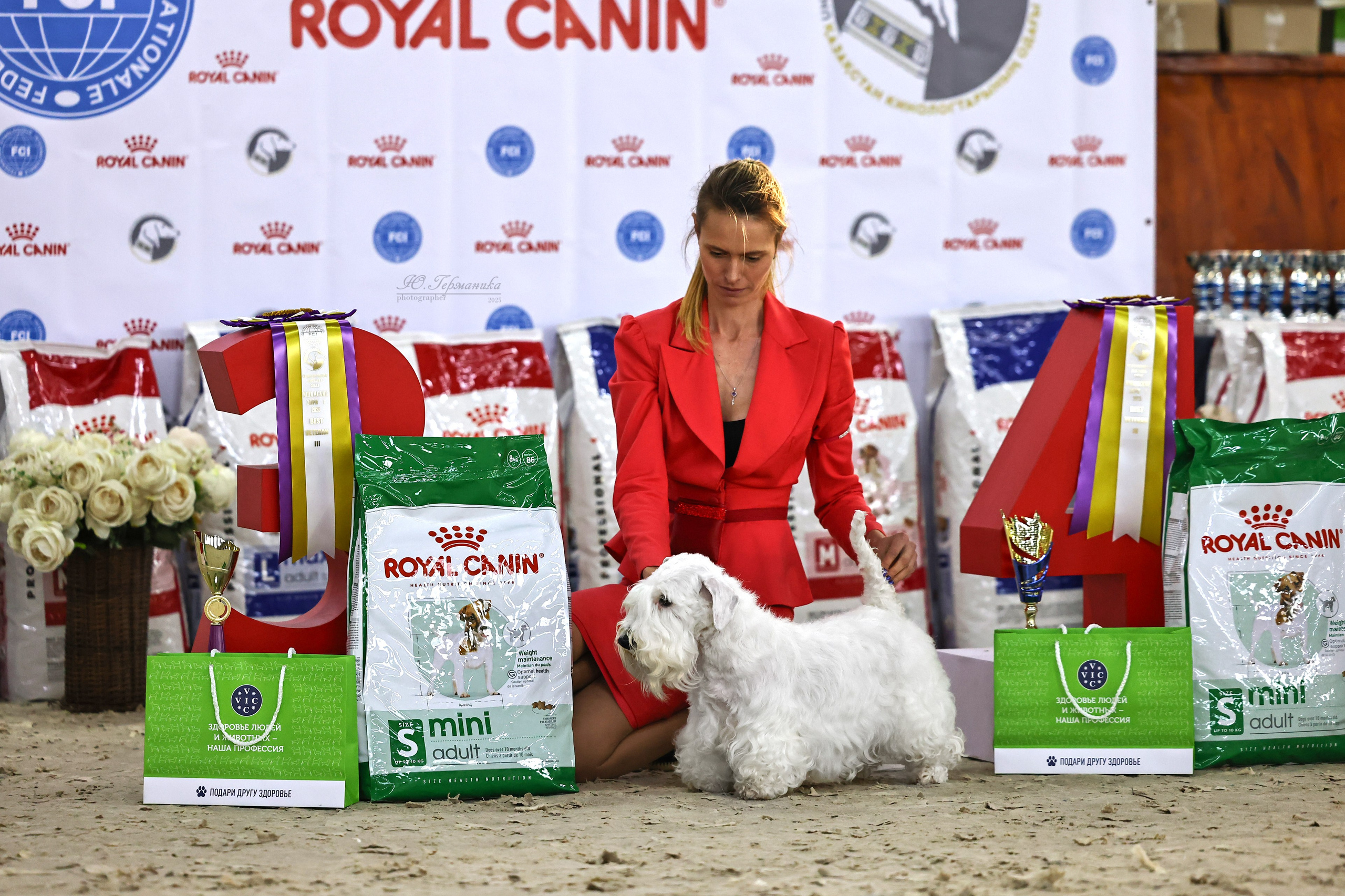 Астана 2хCACIB 26-28.09.2025. Фотограф-анималист Юлия Германика