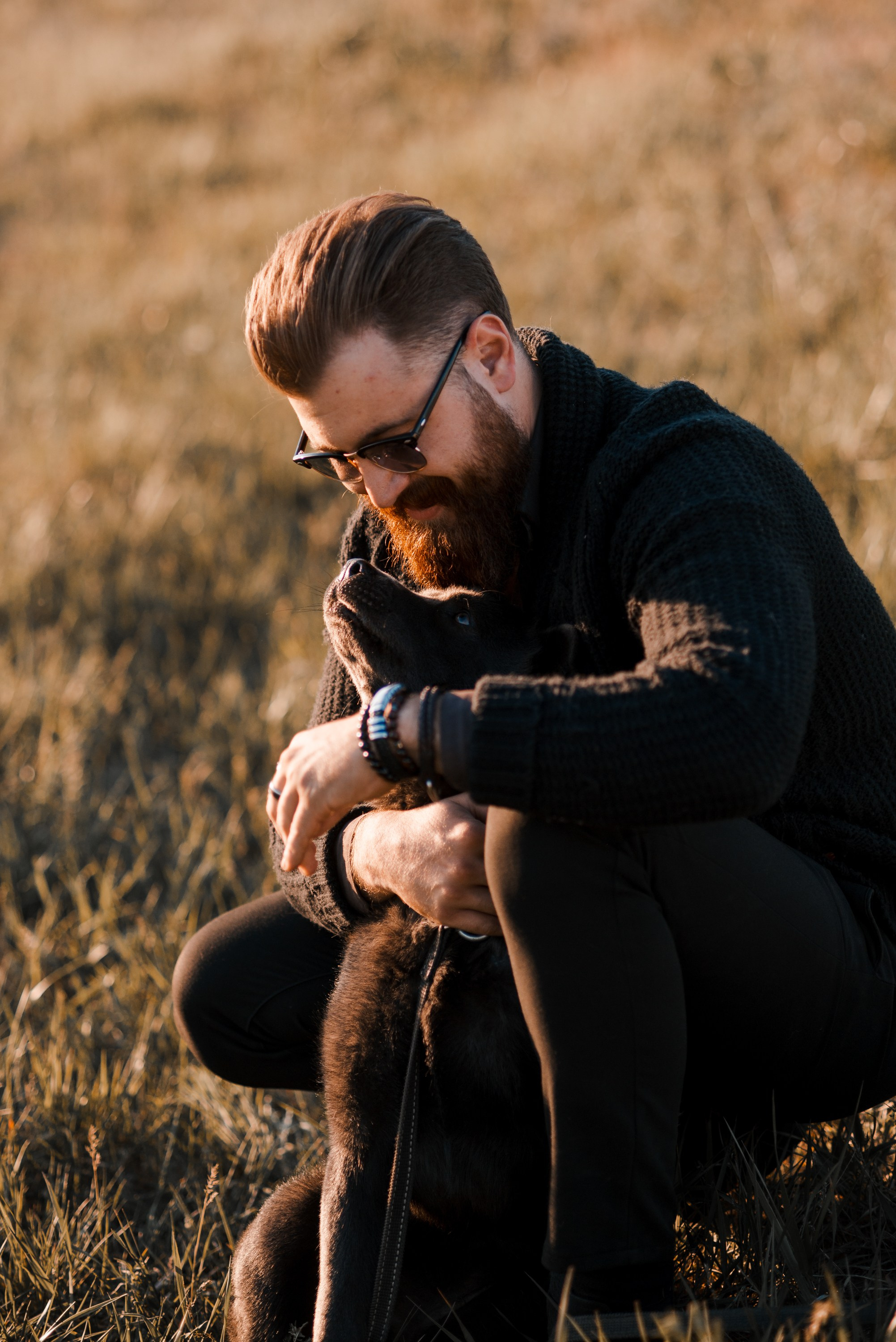 Ярослав. Главная