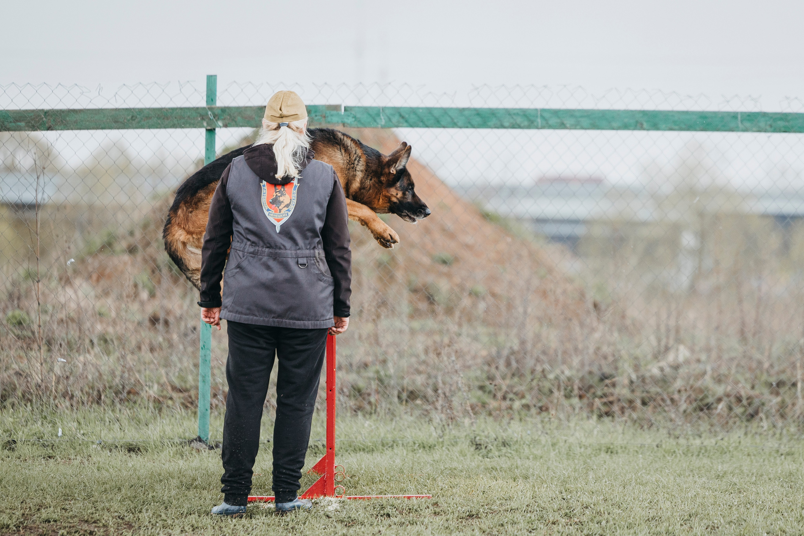 09.05.25 Вологда соревнования. Фотограф-анималист Анна Маринич