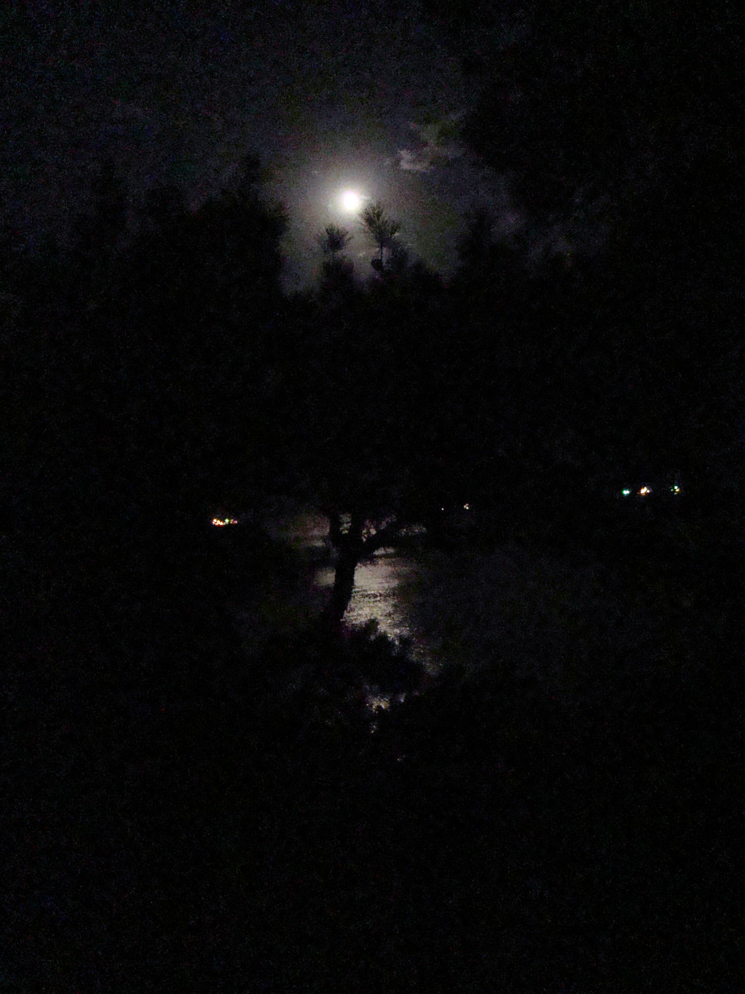 Кабардинка (фото Зевиных) 25.06-24.07.2008. Семейный, Свадебный фотограф СПБ Питер— Романова Екатерина