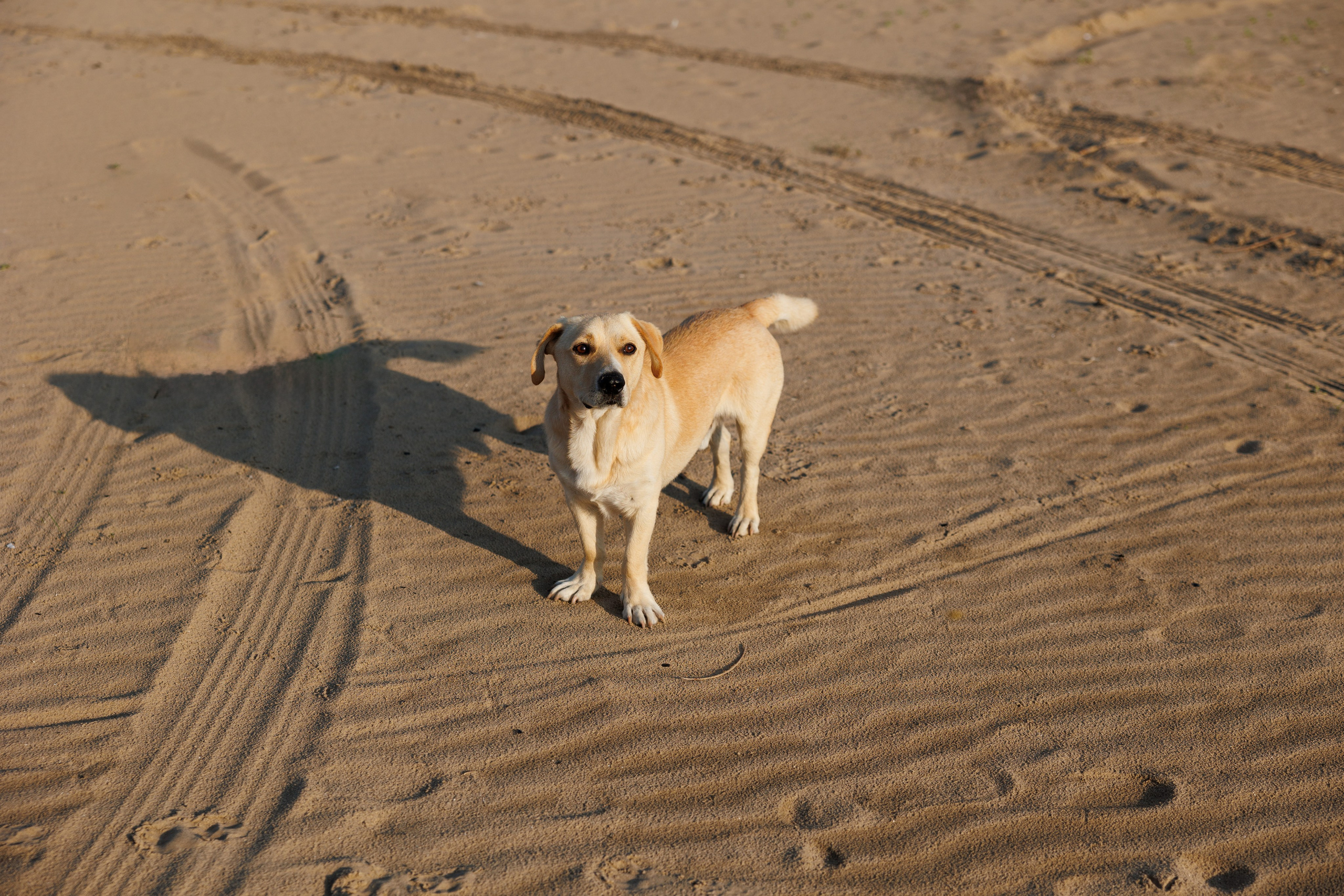 Свадебная фотосессия на берегу. Свадебный фотограф Астрахань