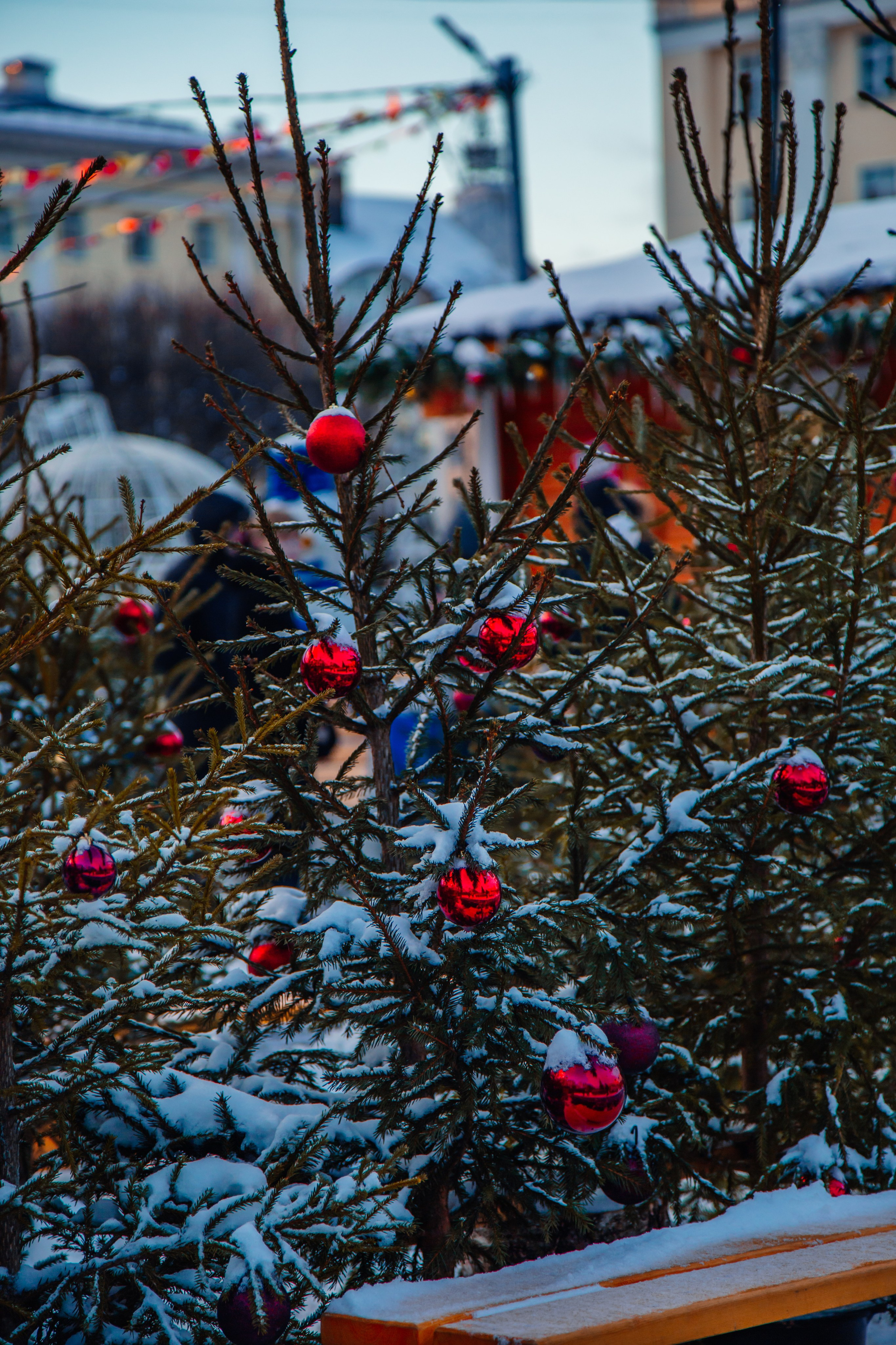 Стрит 2023-2024. KiPPER Gallery — Фотограф