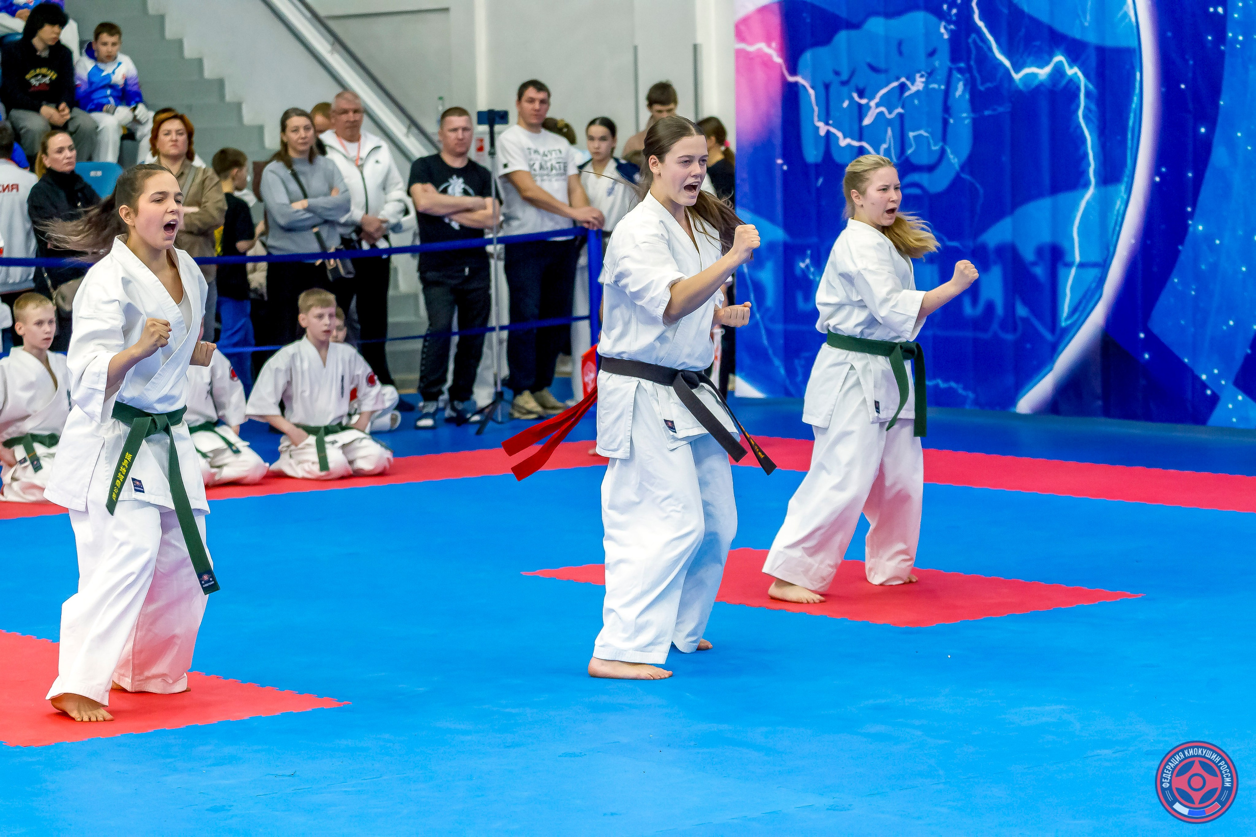 Международный турнир по киокушин «Открытый кубок Seiken». Репортажная съемка в Москве и области. Анималистика