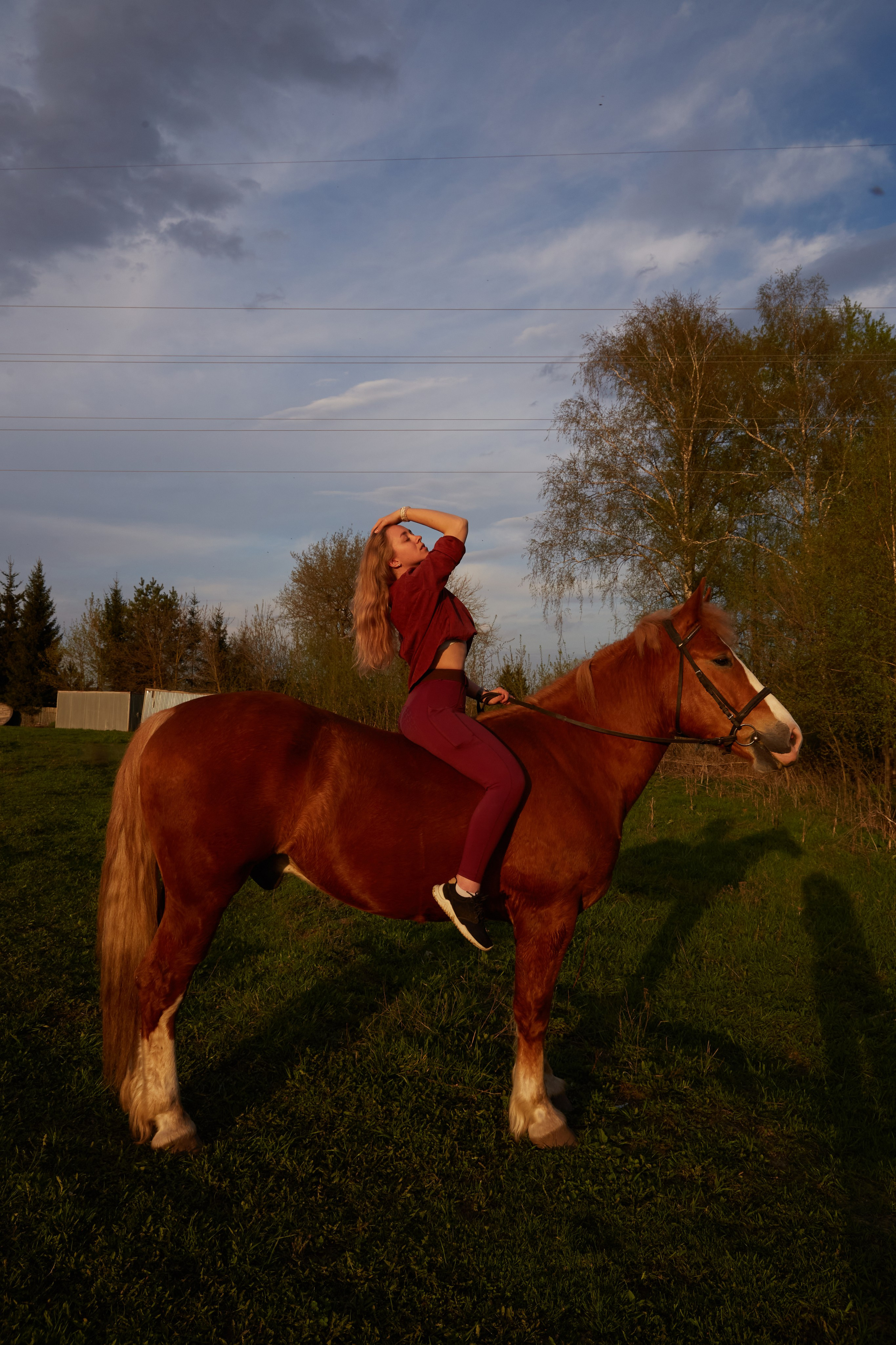 Конные фотосессии. Прончатова Алина. Свадебный и семейный фотограф