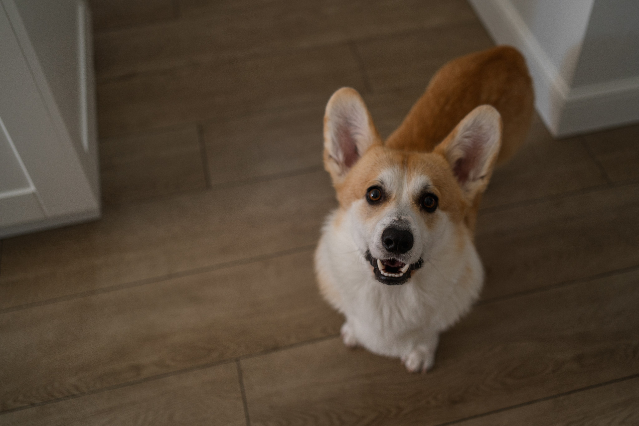 Маша, Саша, Зейден ждут Анну. Свадебный фотограф в Краснодаре и Сочи Винидиктова Екатерина