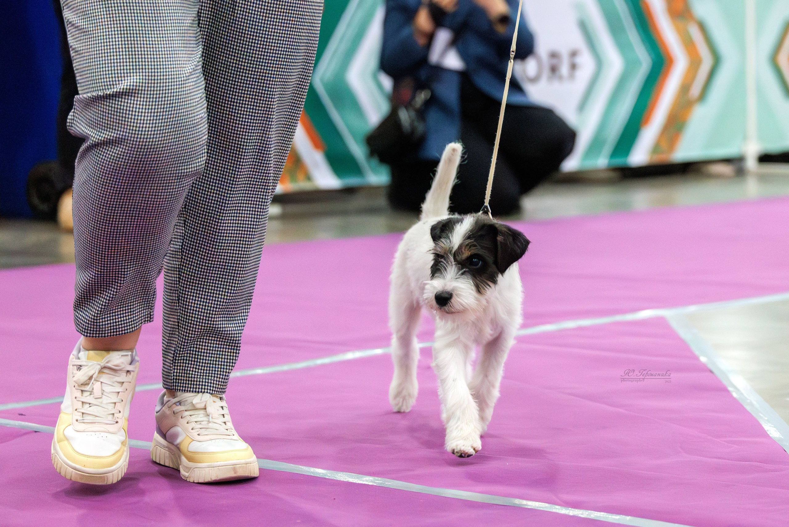 Евразия 15-16.11.2025. Фотограф-анималист Юлия Германика