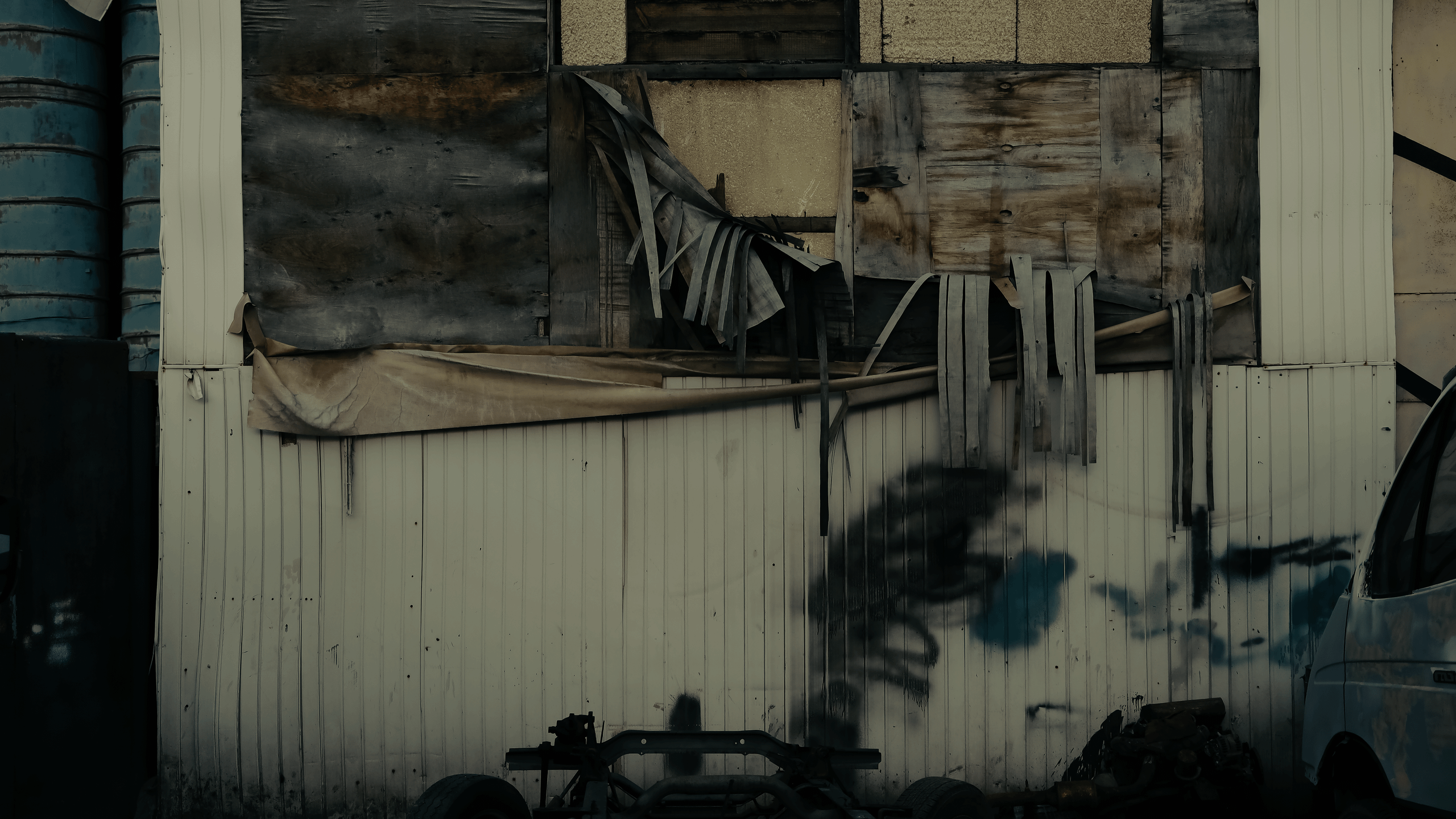 TMN autumn '24. Фотограф/дизайнер в Екатеринбурге Хитрый Дмитрий